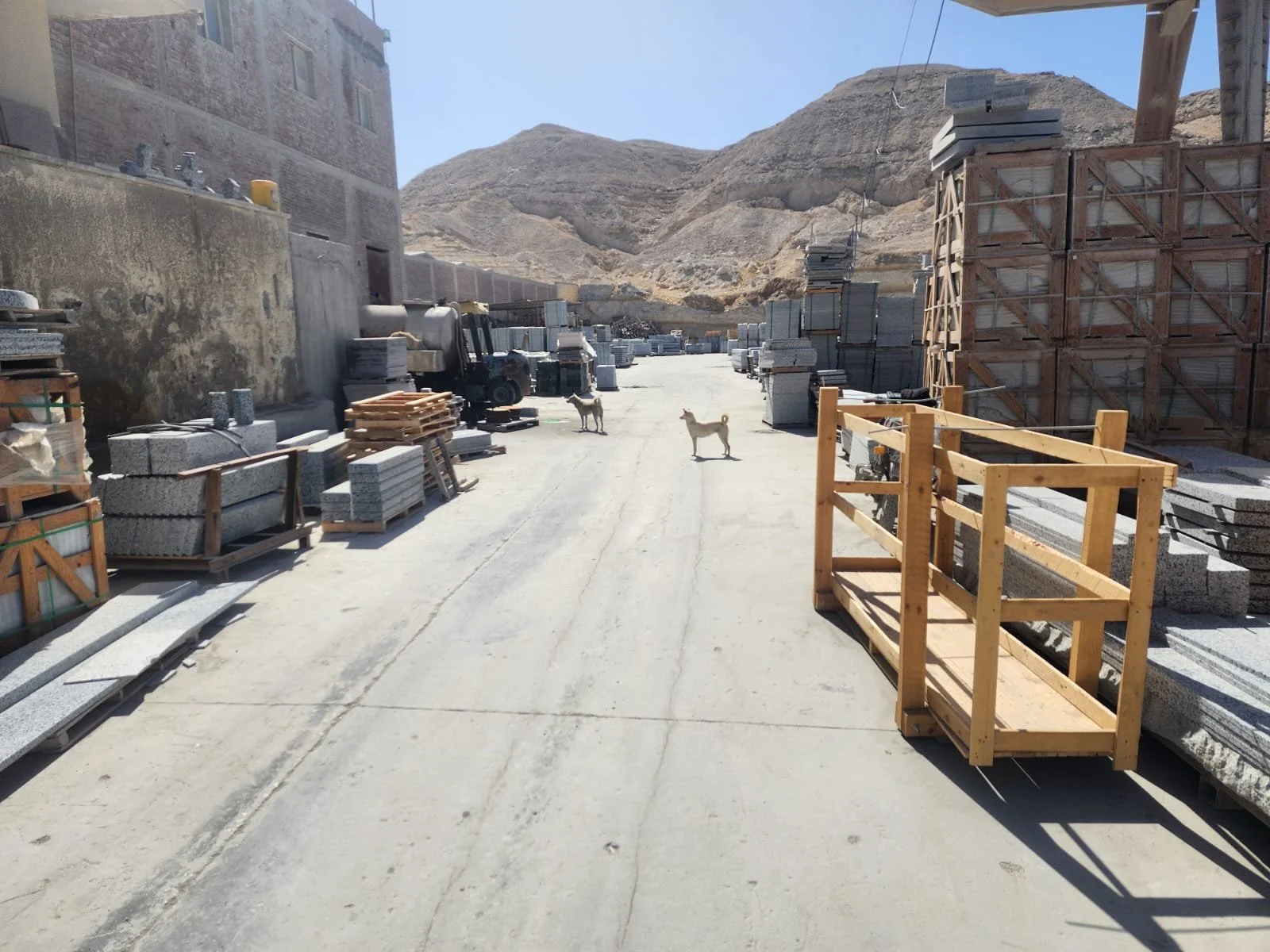 WhatsApp Image 2026-02-18 at 11.55.23 AM.jpeg