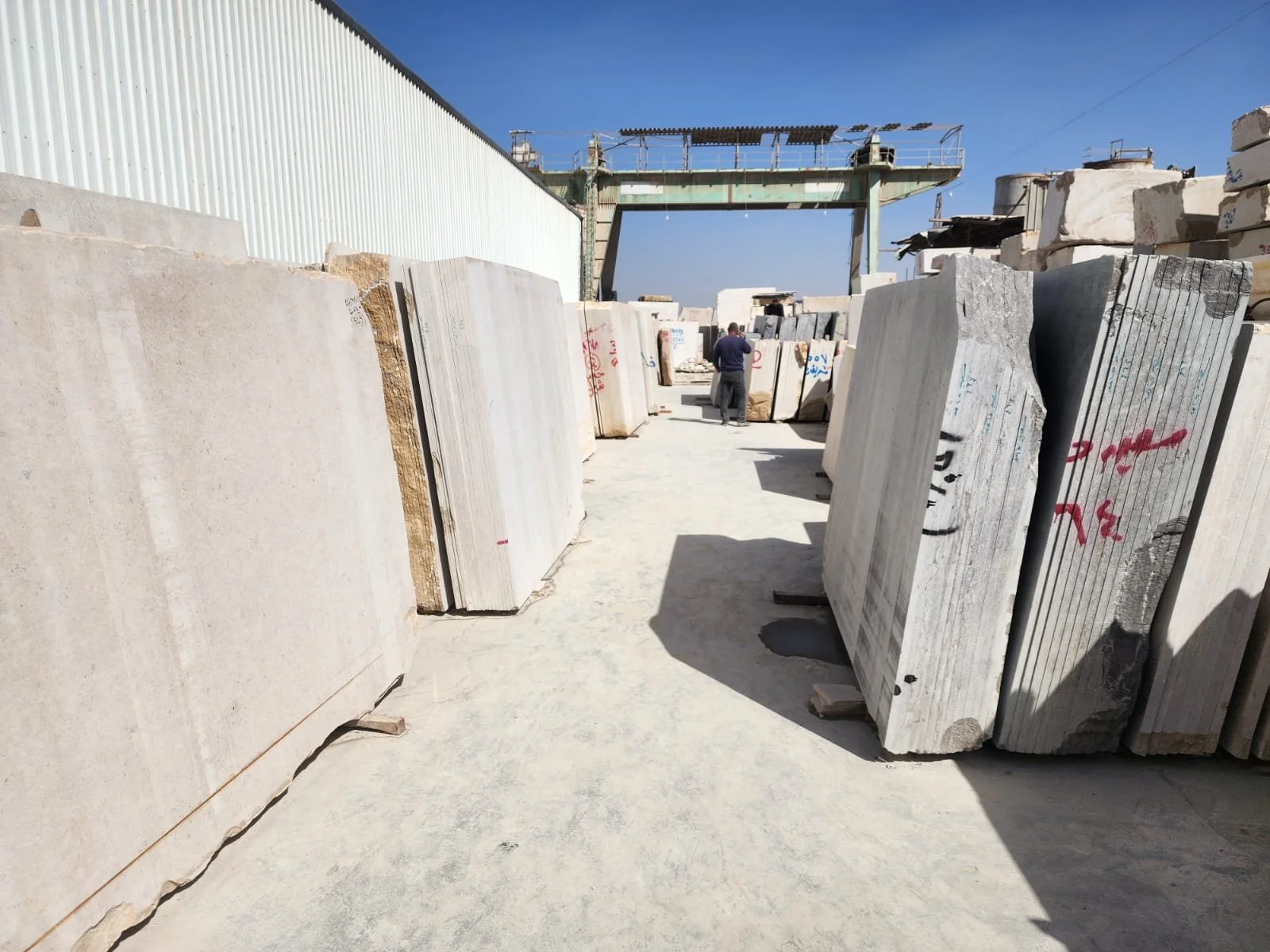 WhatsApp Image 2026-02-18 at 11.55.23 AM (3).jpeg