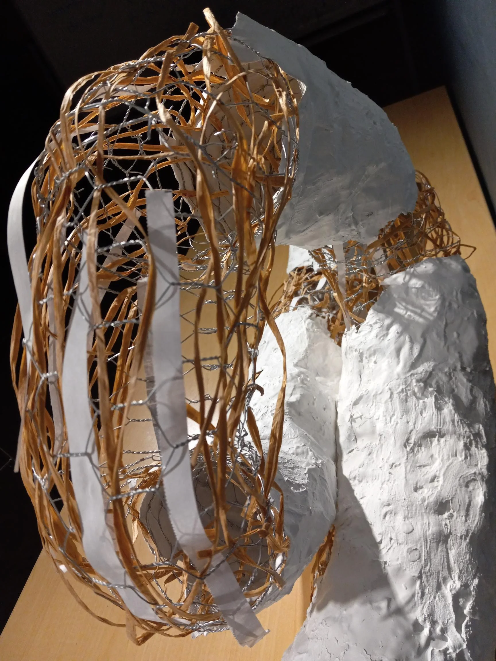 Linear Volume Project