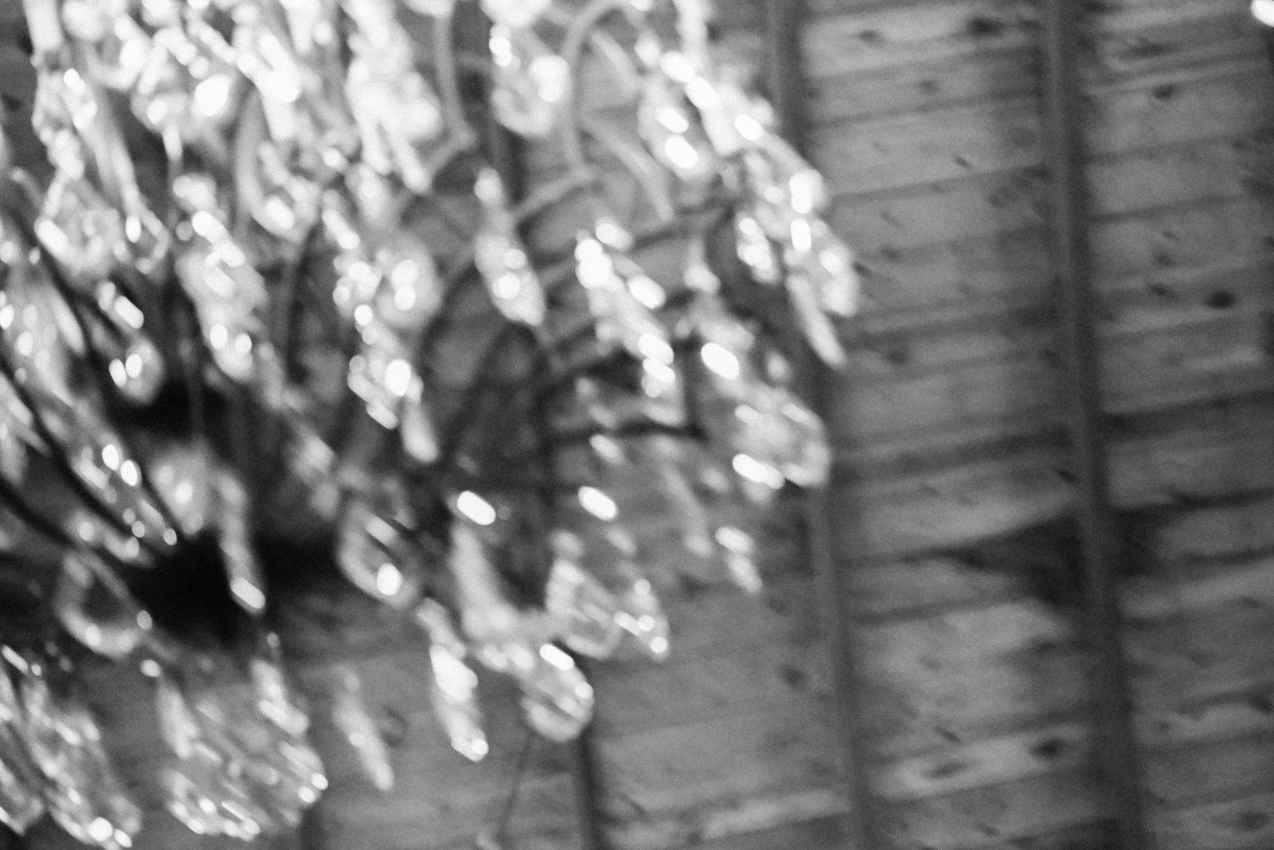 Bronowicz-72-H (1).jpg