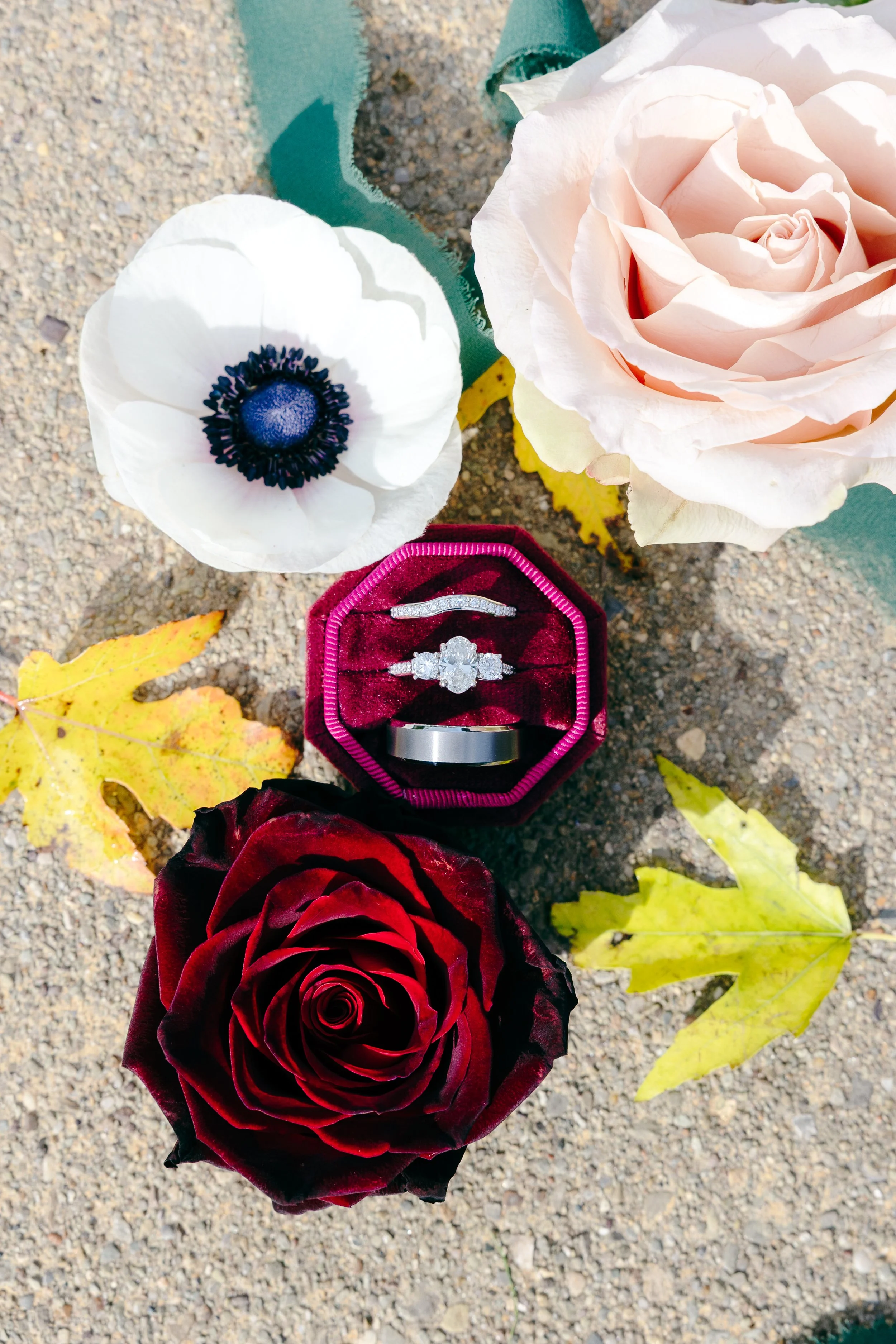 A wedding ring set inside a burgundy velvet ring box, surrounded by roses and fallen autumn leaves on a gravel surface.