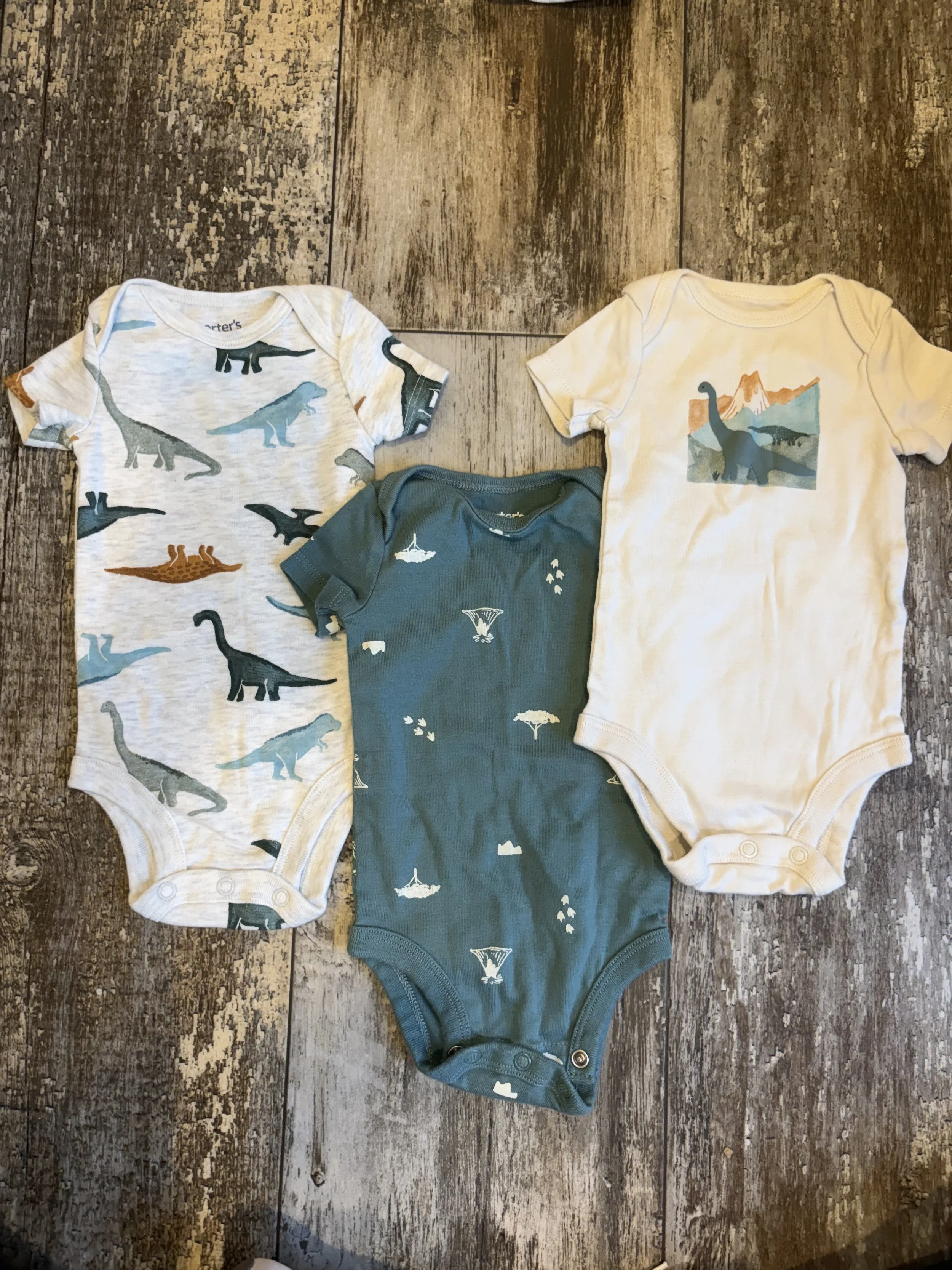 Carters Dino Set