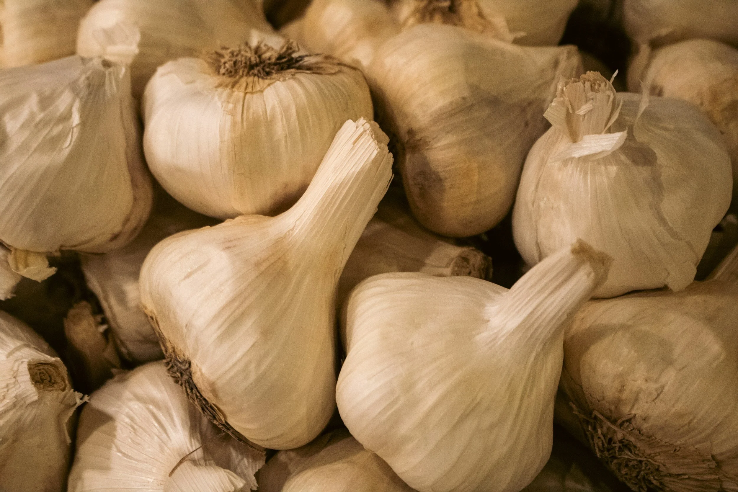 The Good Vibe Garlic Difference:                       Fresh vs. Grocery Store Garlic