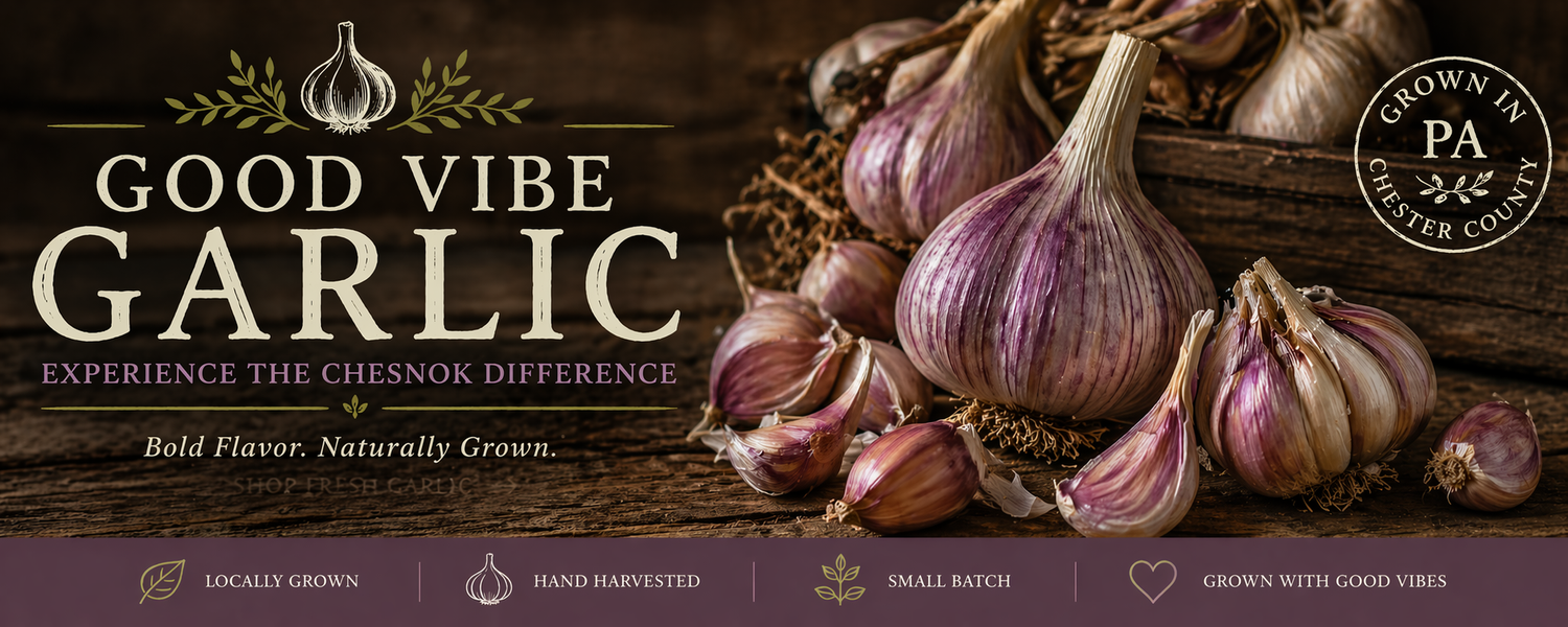 Good Vibe Garlic Farm 