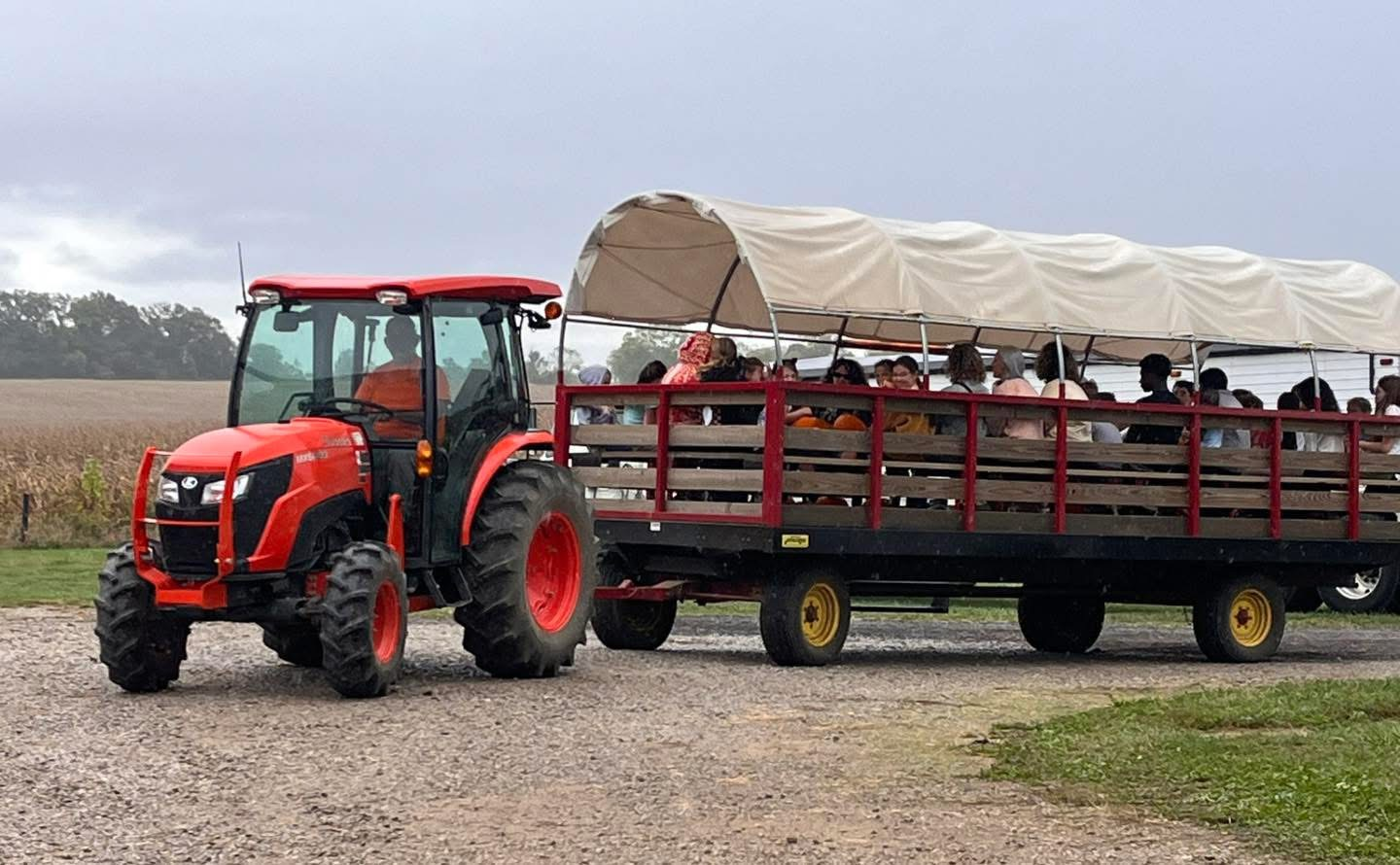 Hayrides to pick a pumpkin