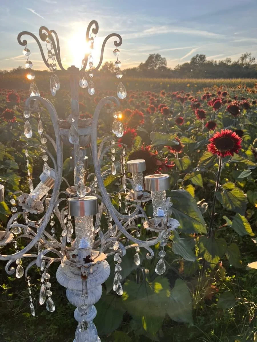 An ornate chandelier with crystals and candle-like light fixtures is placed in a field of red flowers, with the sun setting in the background and a sky with scattered clouds.