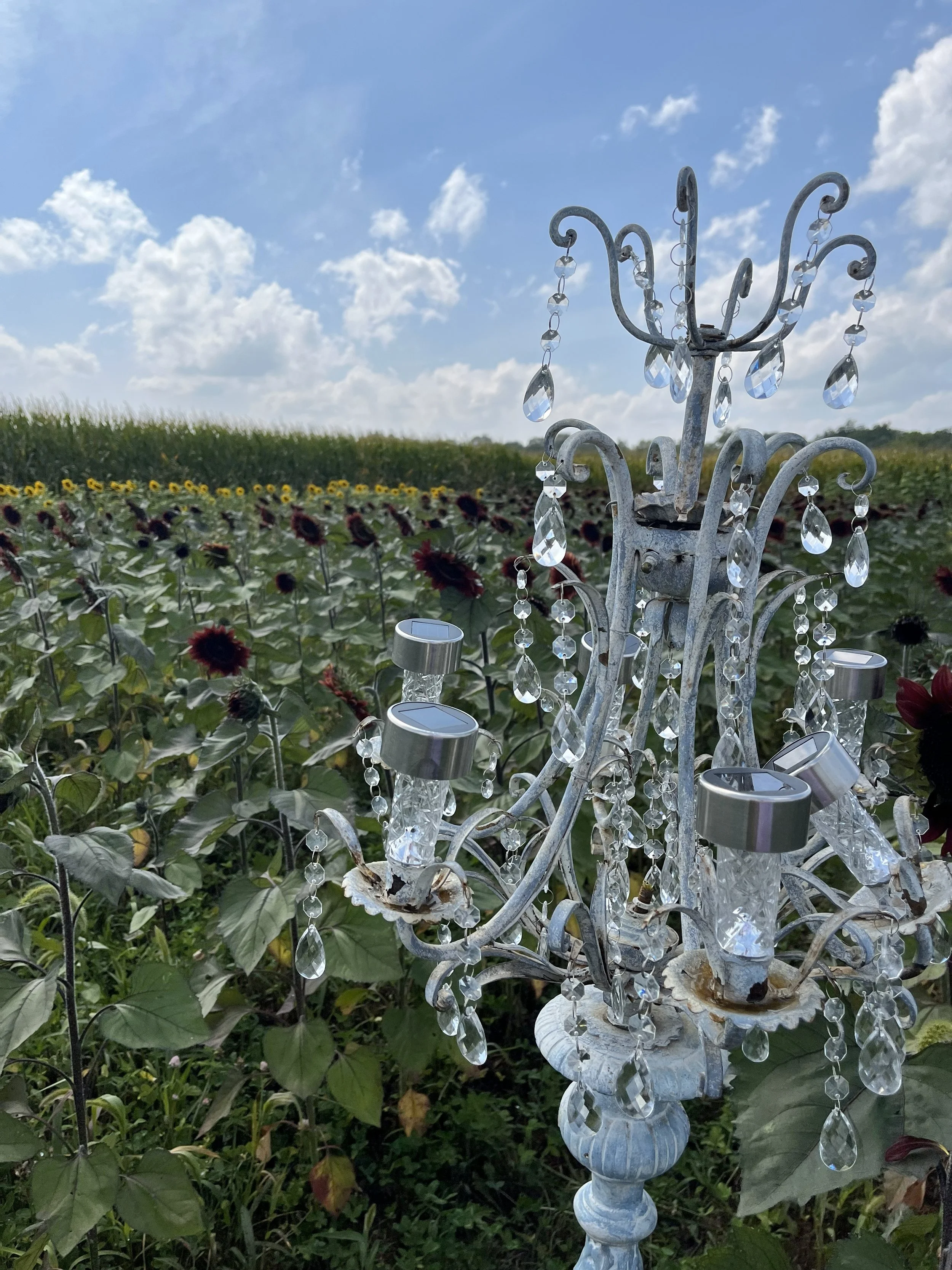 An ornate outdoor chandelier with hanging crystals and solar-powered lights stands in a sunflower field under a partly cloudy sky.