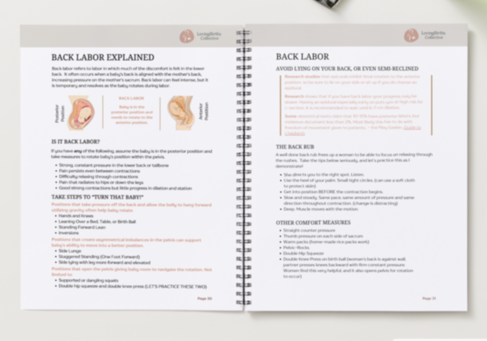 mock-up-workbook-back-labor.png