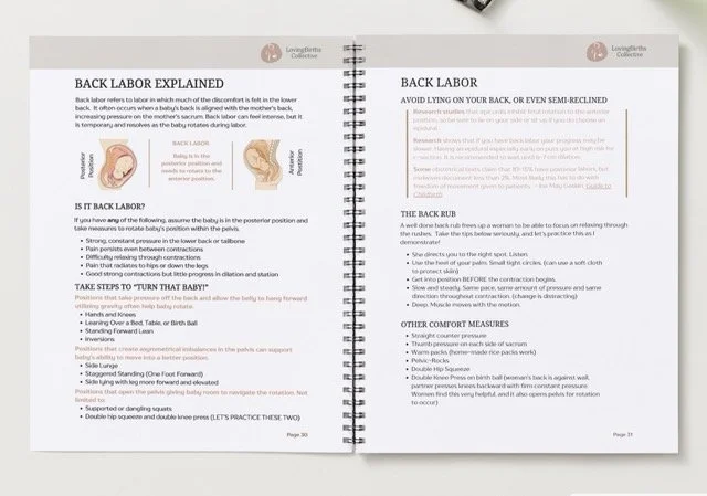 mock-up-workbook-back-labor Medium.jpeg