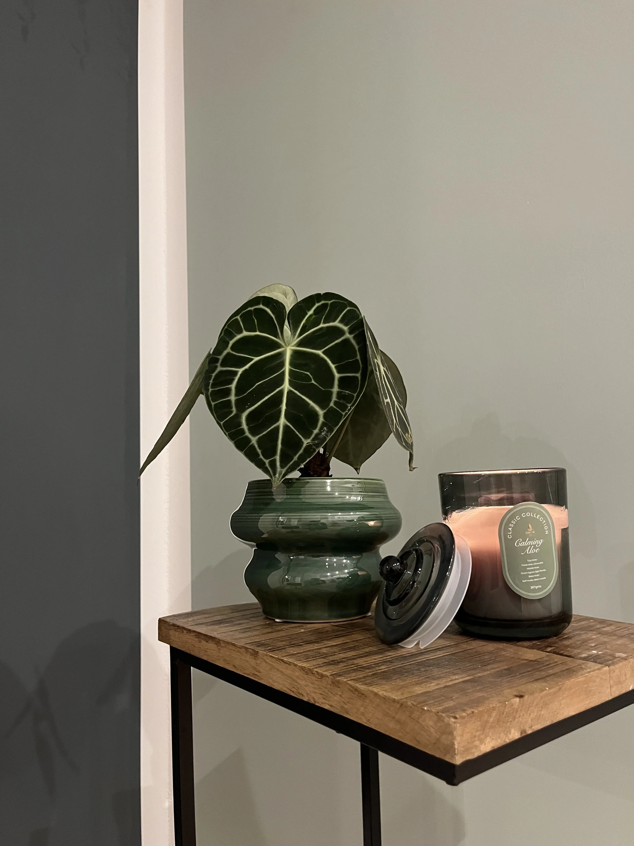 Zimmerpflanze mit dunkelgrünen, herzförmigen Blättern mit hellen Nerven in einer grünen Keramikvase auf einem holzfarbenen Tisch neben einer Duftkerze in einem schwarzen Glasbehälter.