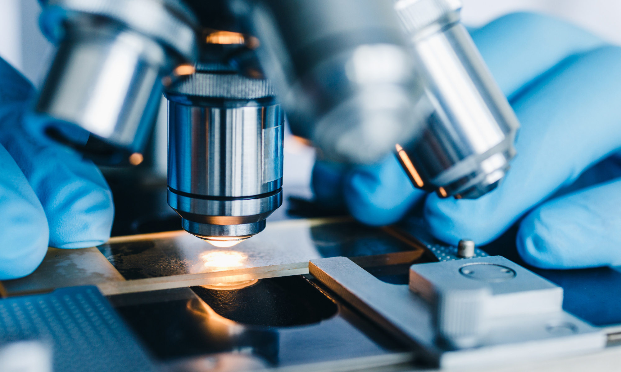 Close-up of a scientist's hands in blue gloves adjusting a microscope in a laboratory setting.