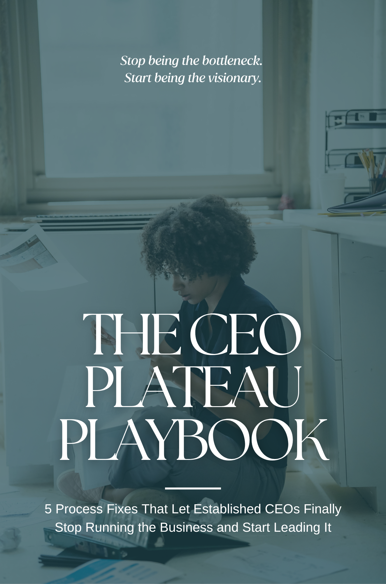 The CEO Plateau Playbook COVER.png