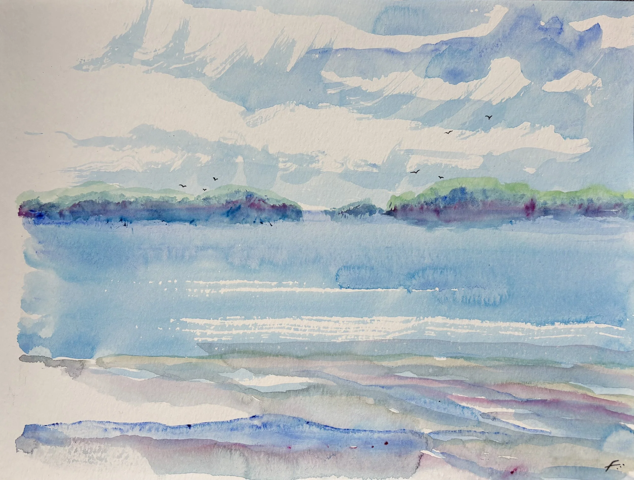 Clayoquot Sound Summer