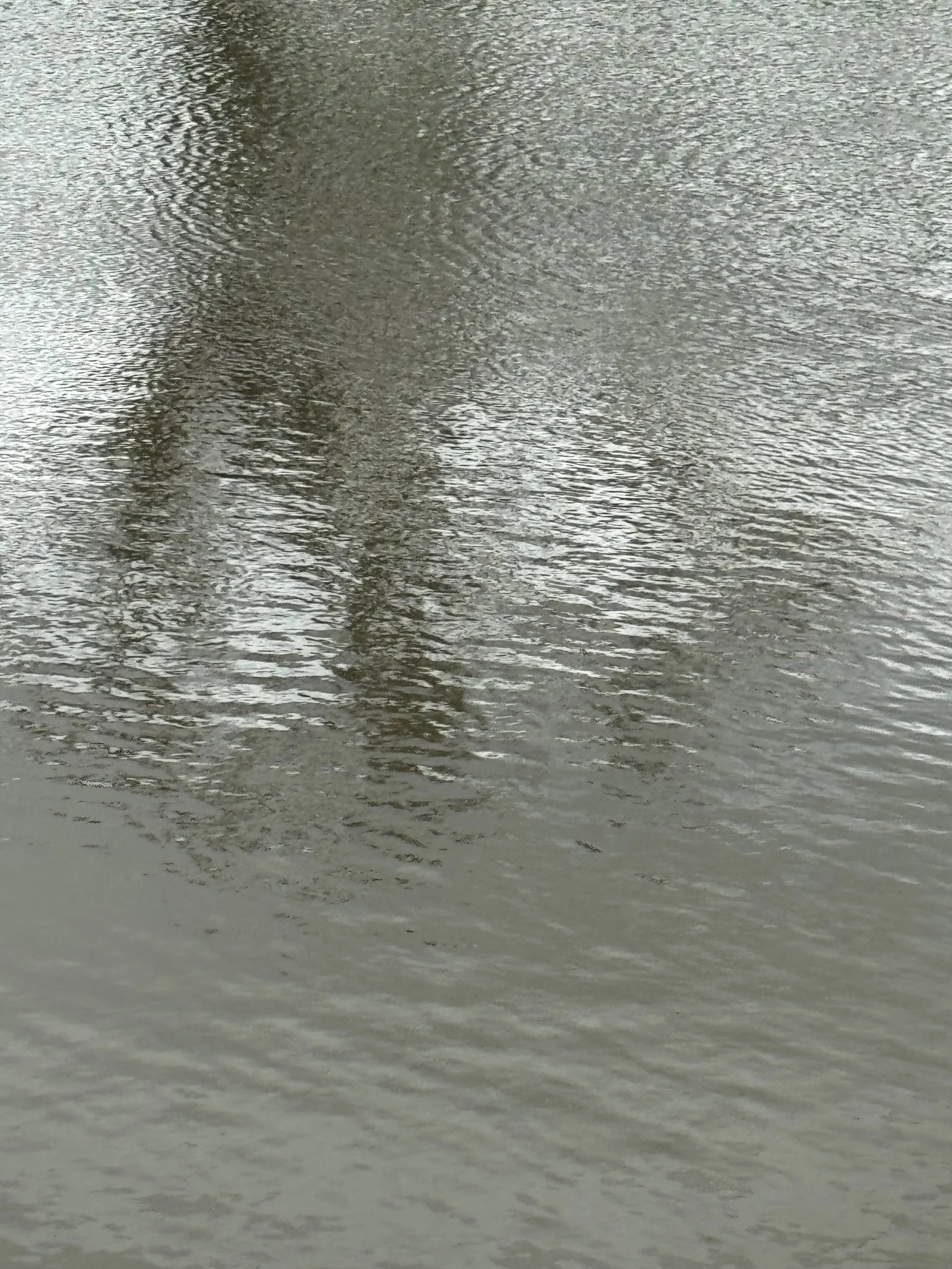 A Little Writing Vent