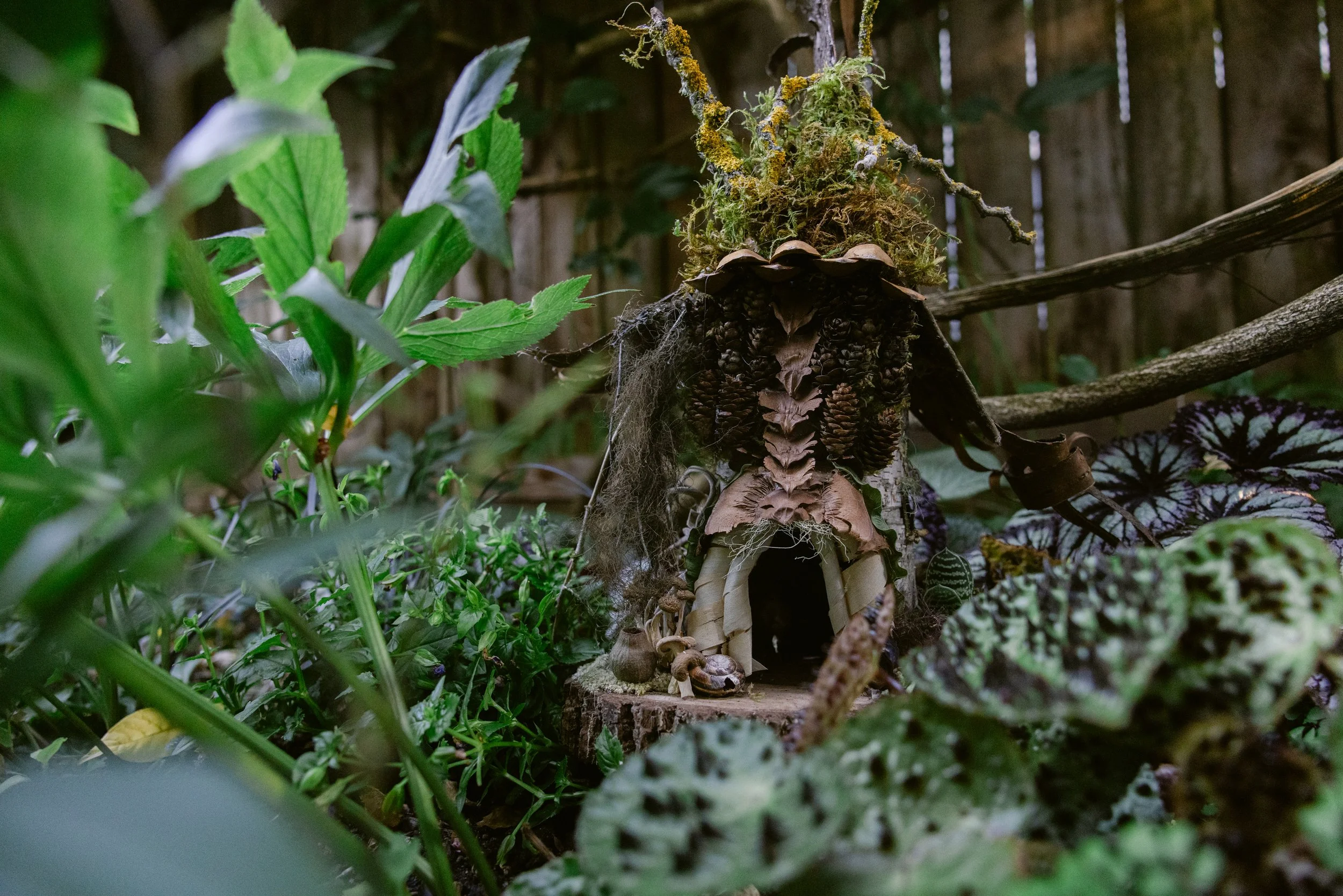 Francoise Weeks botanical design woodland design 159