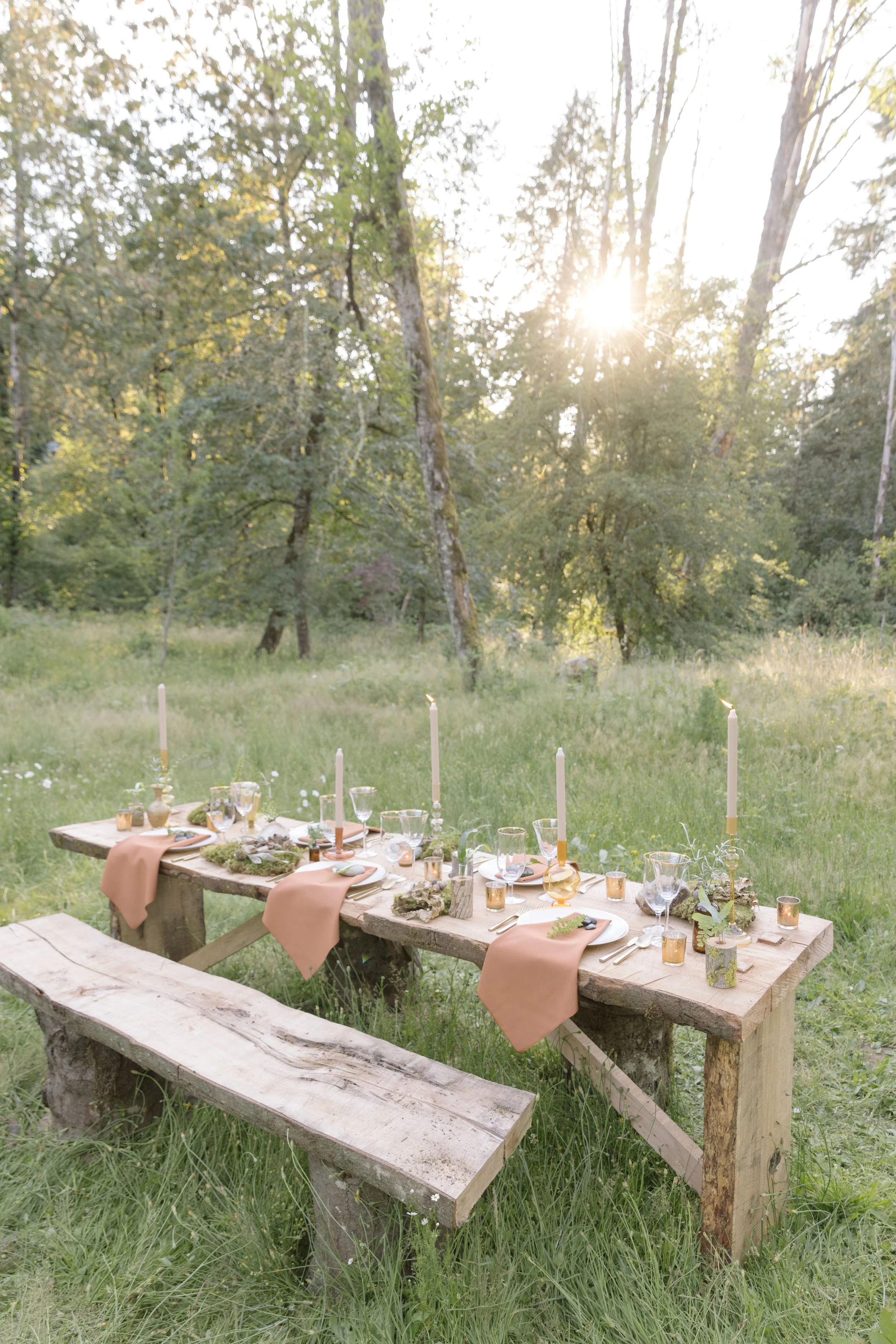 Francoise Weeks botanical design woodland design 137