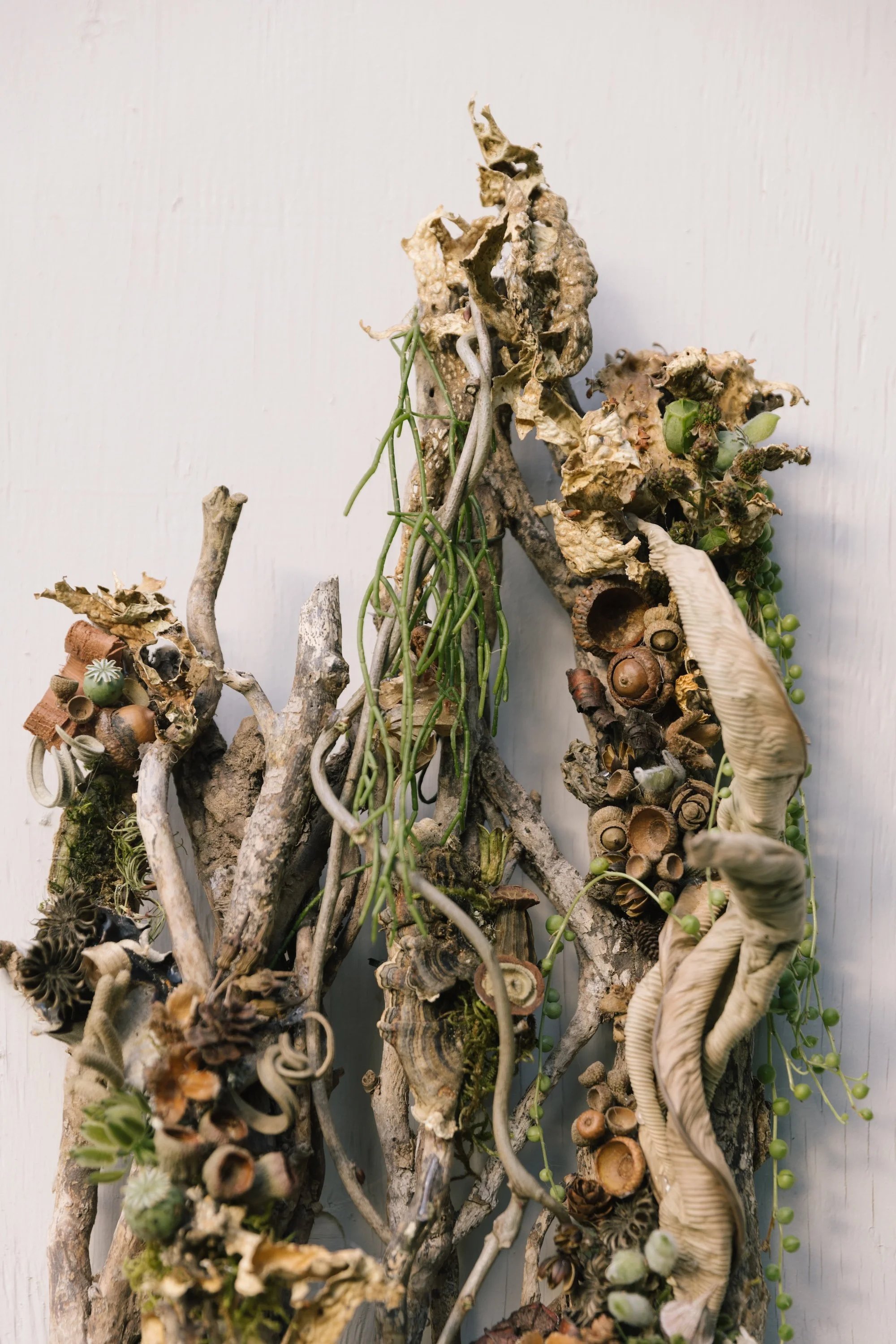 A vertical arrangement of dried branches, moss, seed pods, and other natural elements attached to a white wall, designed by Francoise Weeks.