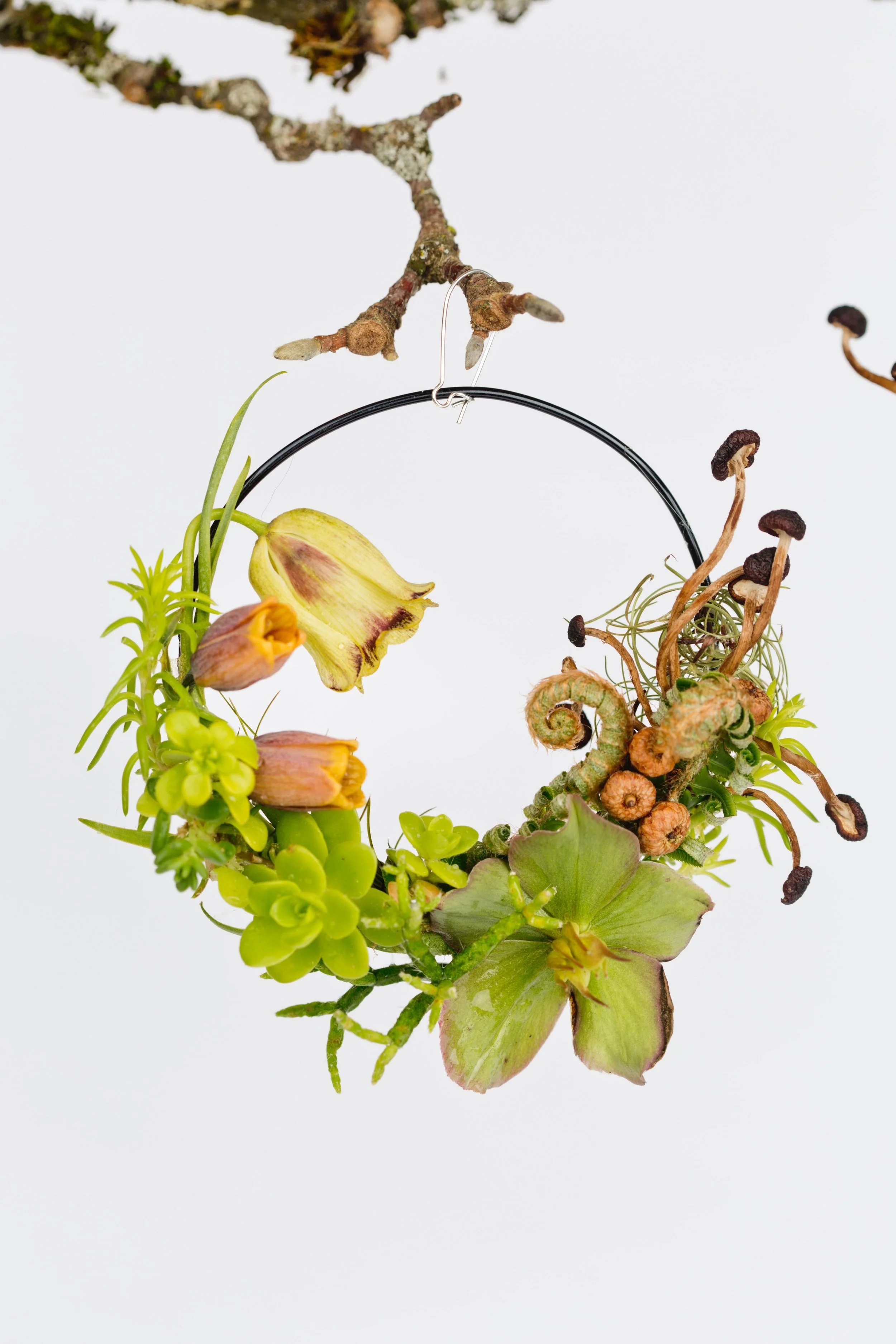 hoop earring.jpg