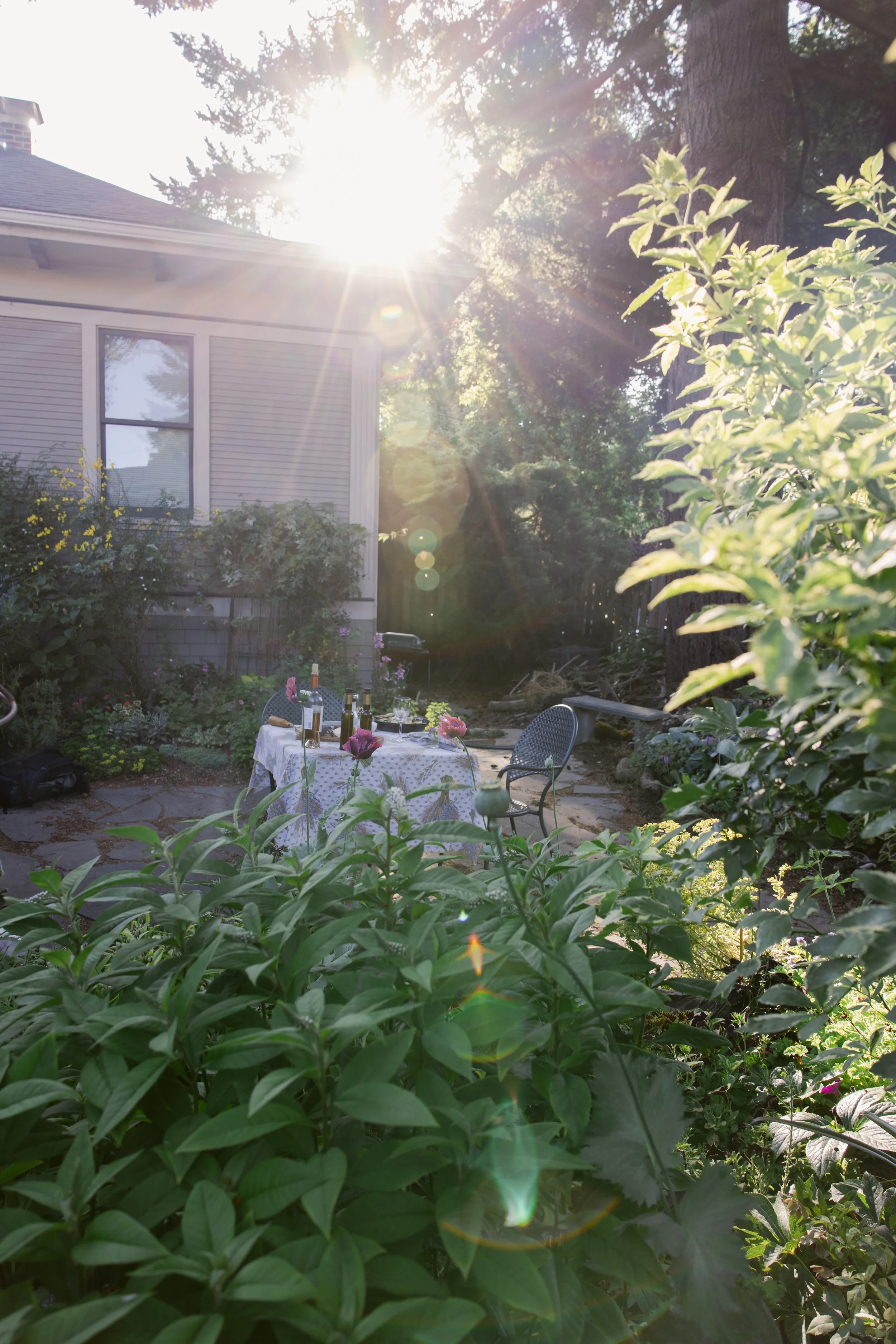 A backyard patio with a round table covered in a white tablecloth, set with bottles of wine, glasses, and pink flowers, surrounded by greenery and illuminated by bright sunlight.