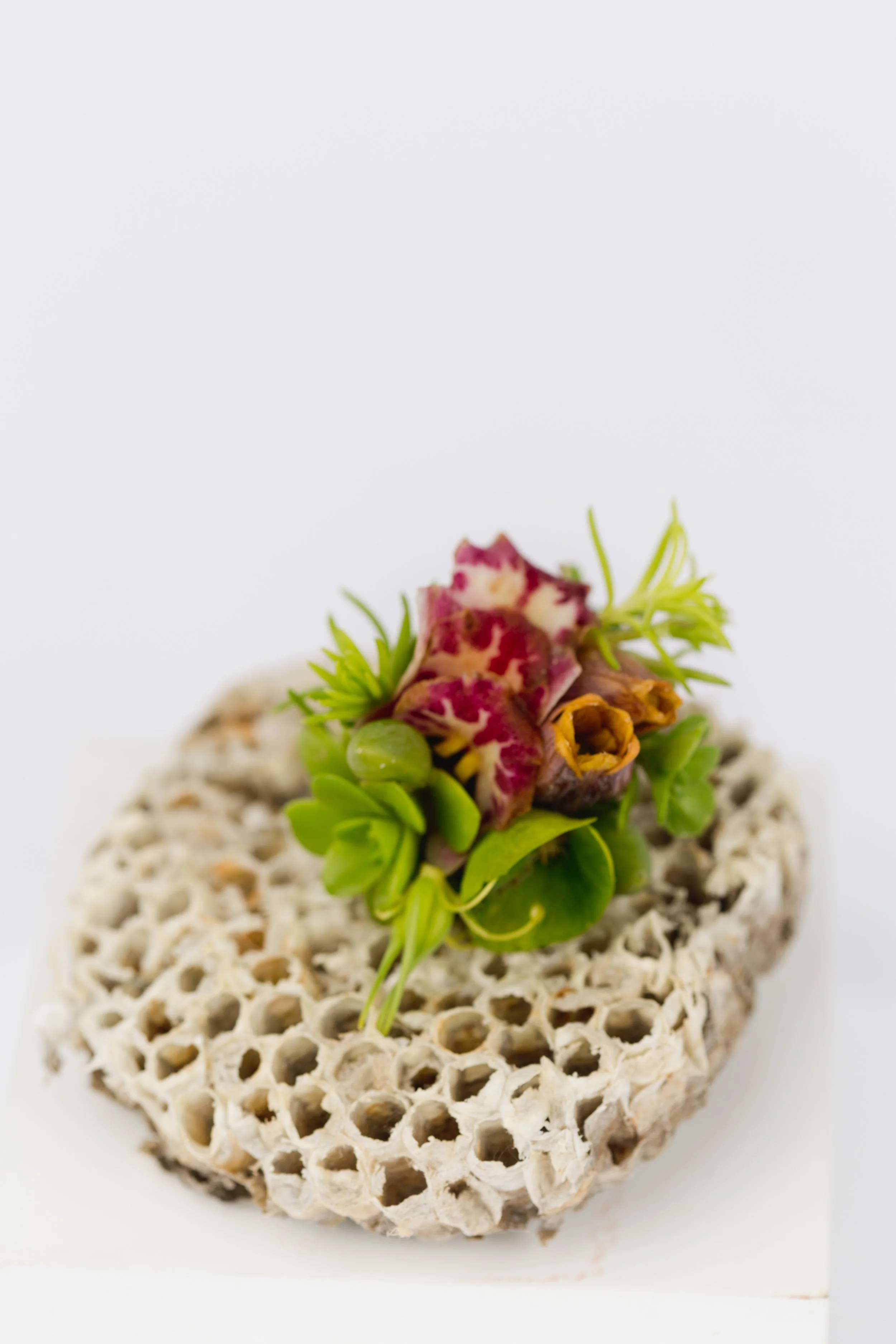 Francoise Weeks botanical fashion couture floral jewelry floral fashion 103