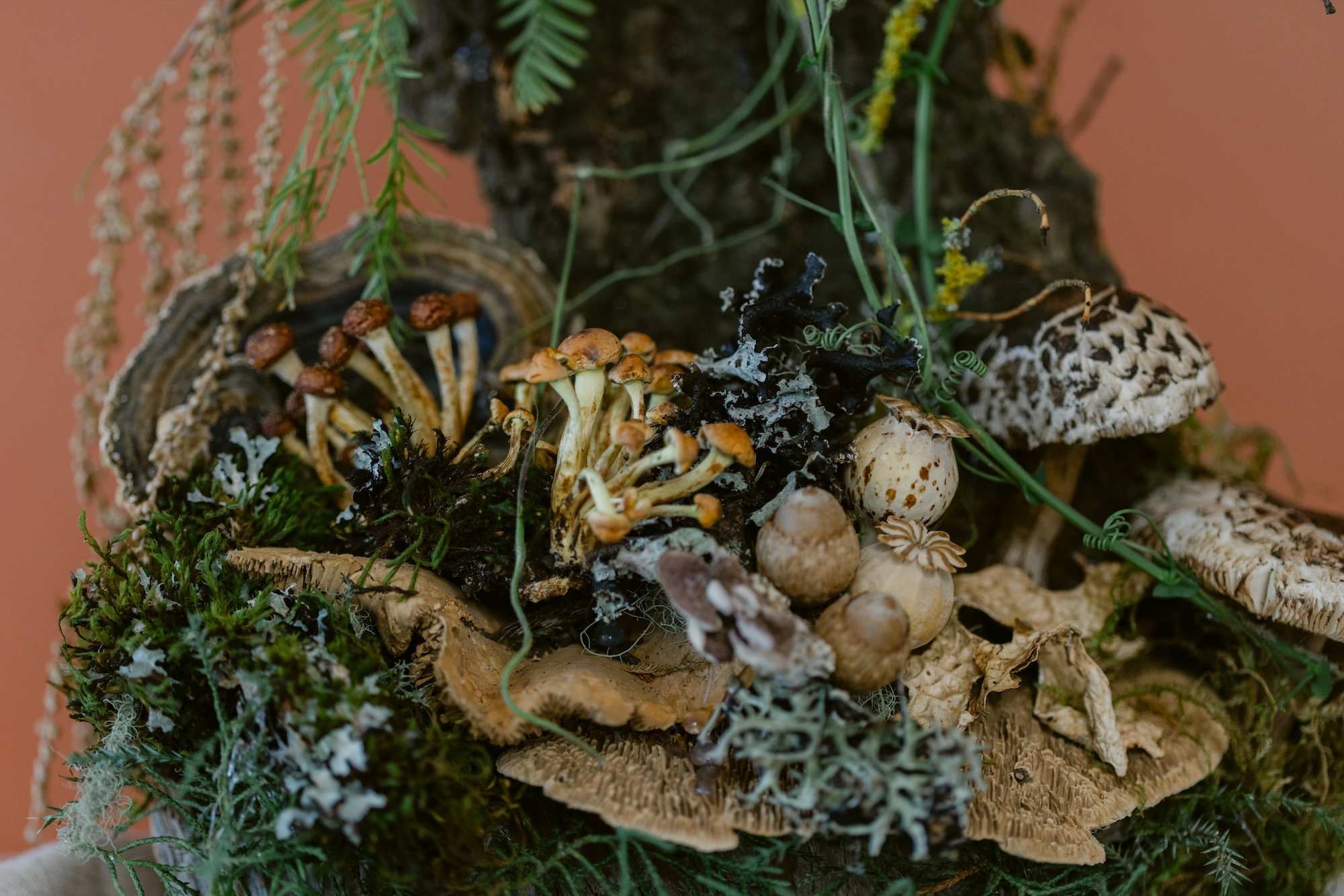 A centerpieces made of various types of mushrooms growing from the structure surrounded by moss, leaves, and plant stems, designed by Francoise Weeks.