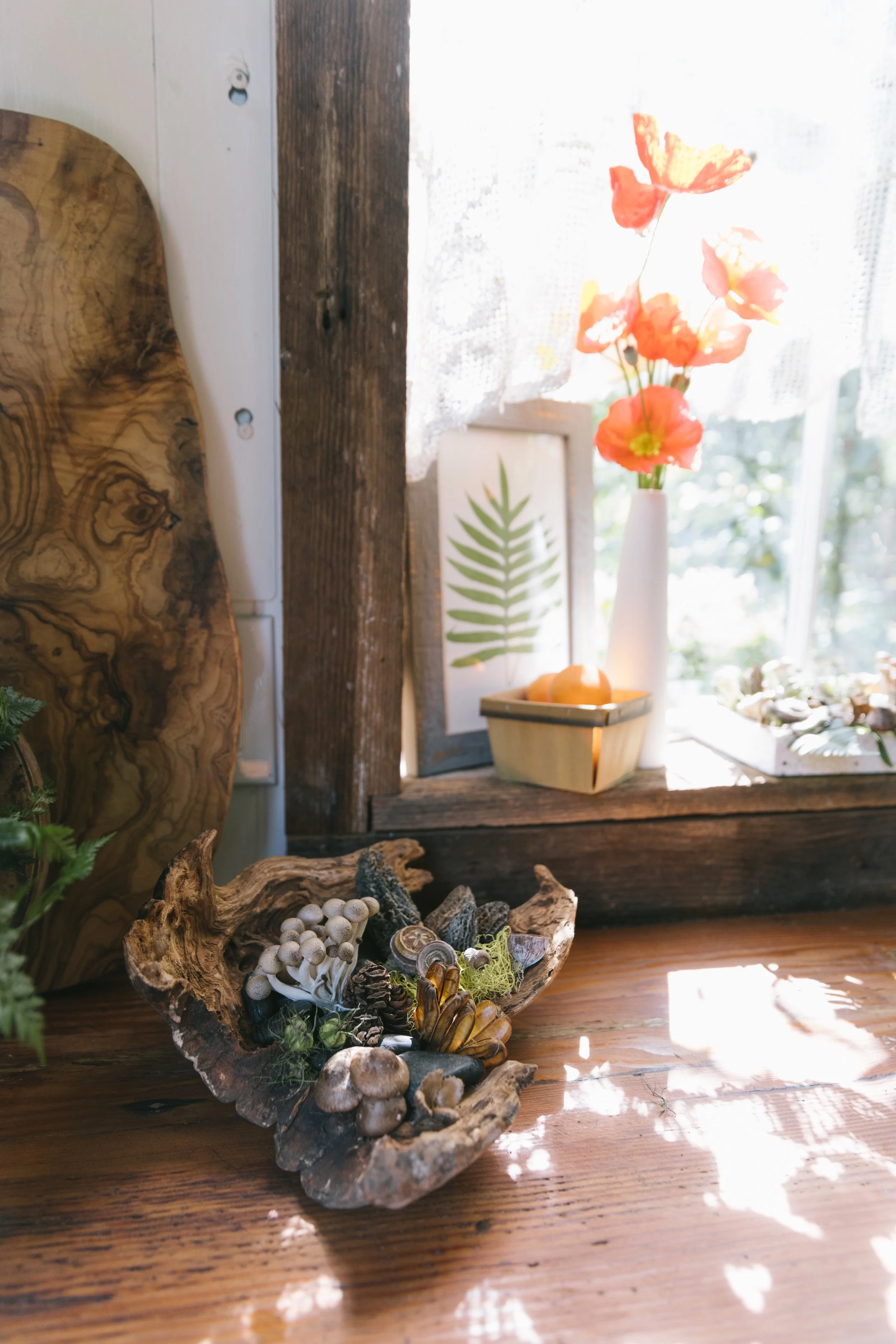 Francoise Weeks botanical design woodland design 144