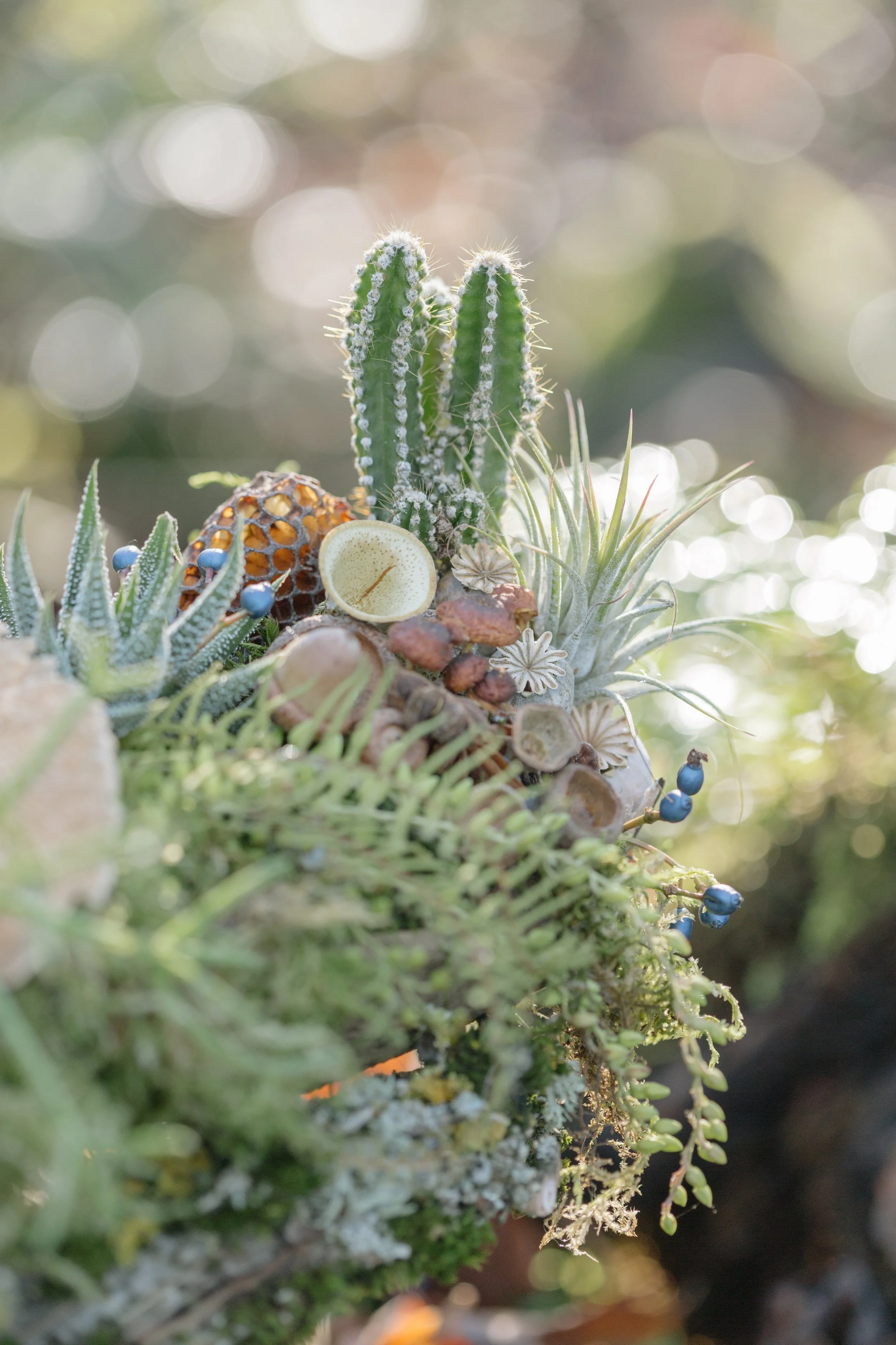 Francoise Weeks botanical design woodland design 139