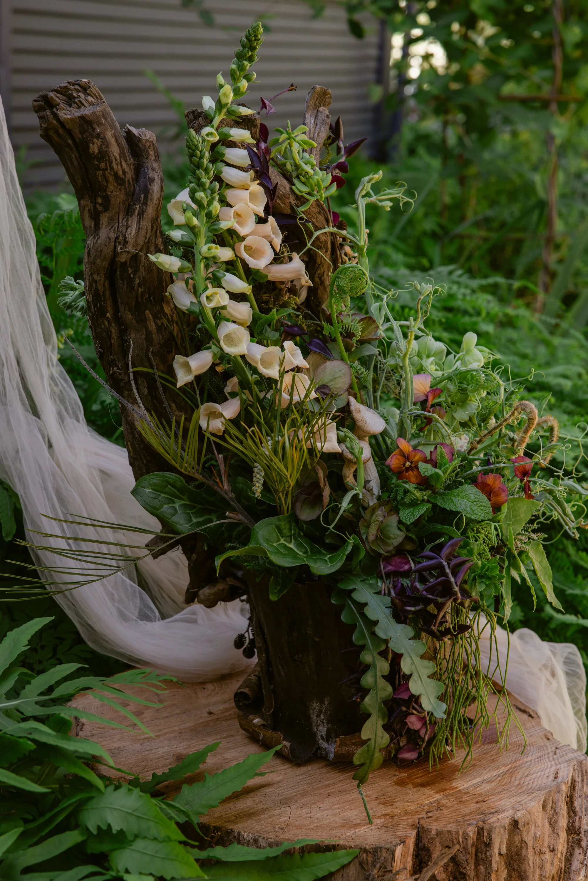 Francoise Weeks botanical design woodland design 163