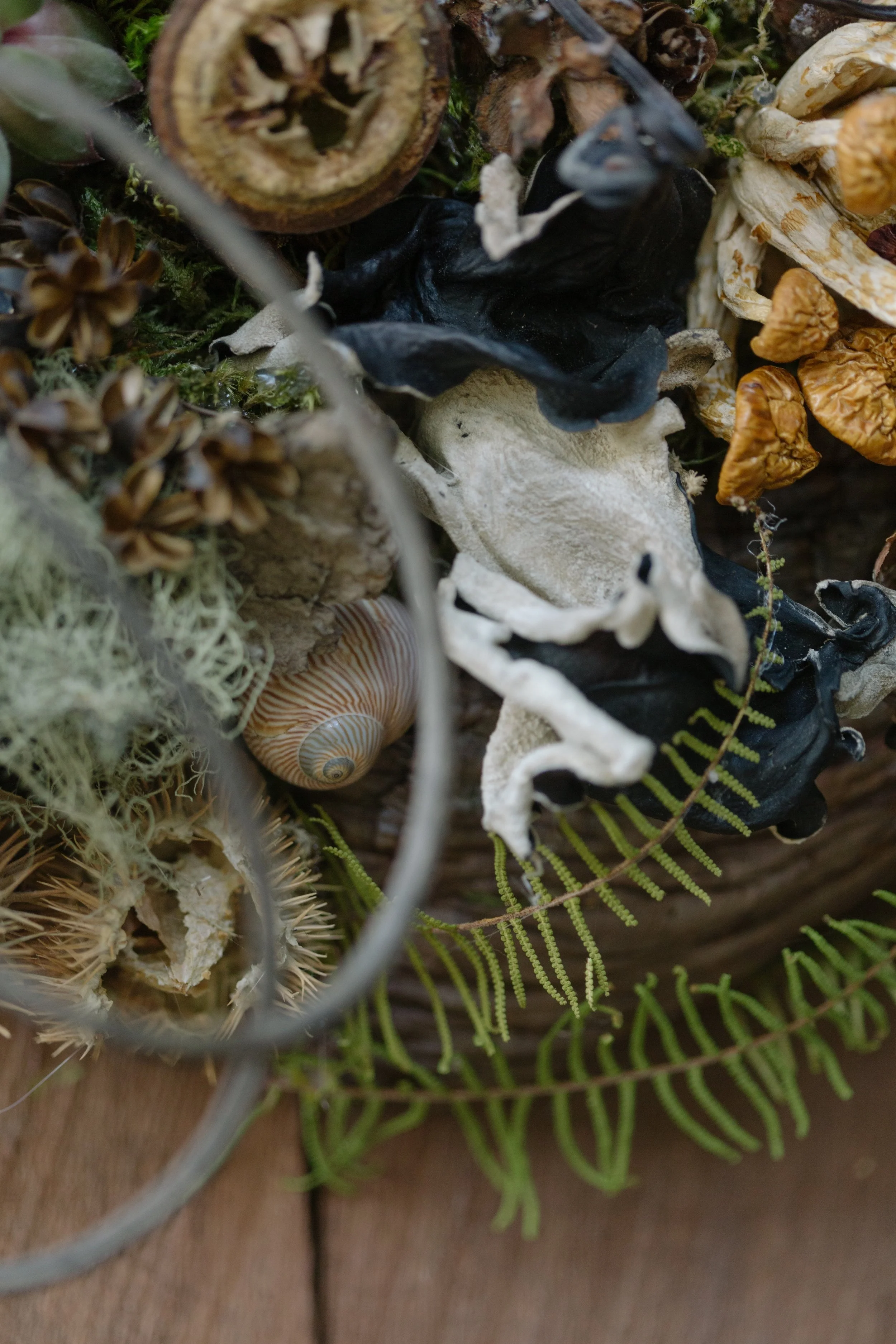 Francoise Weeks botanical design woodland design 149