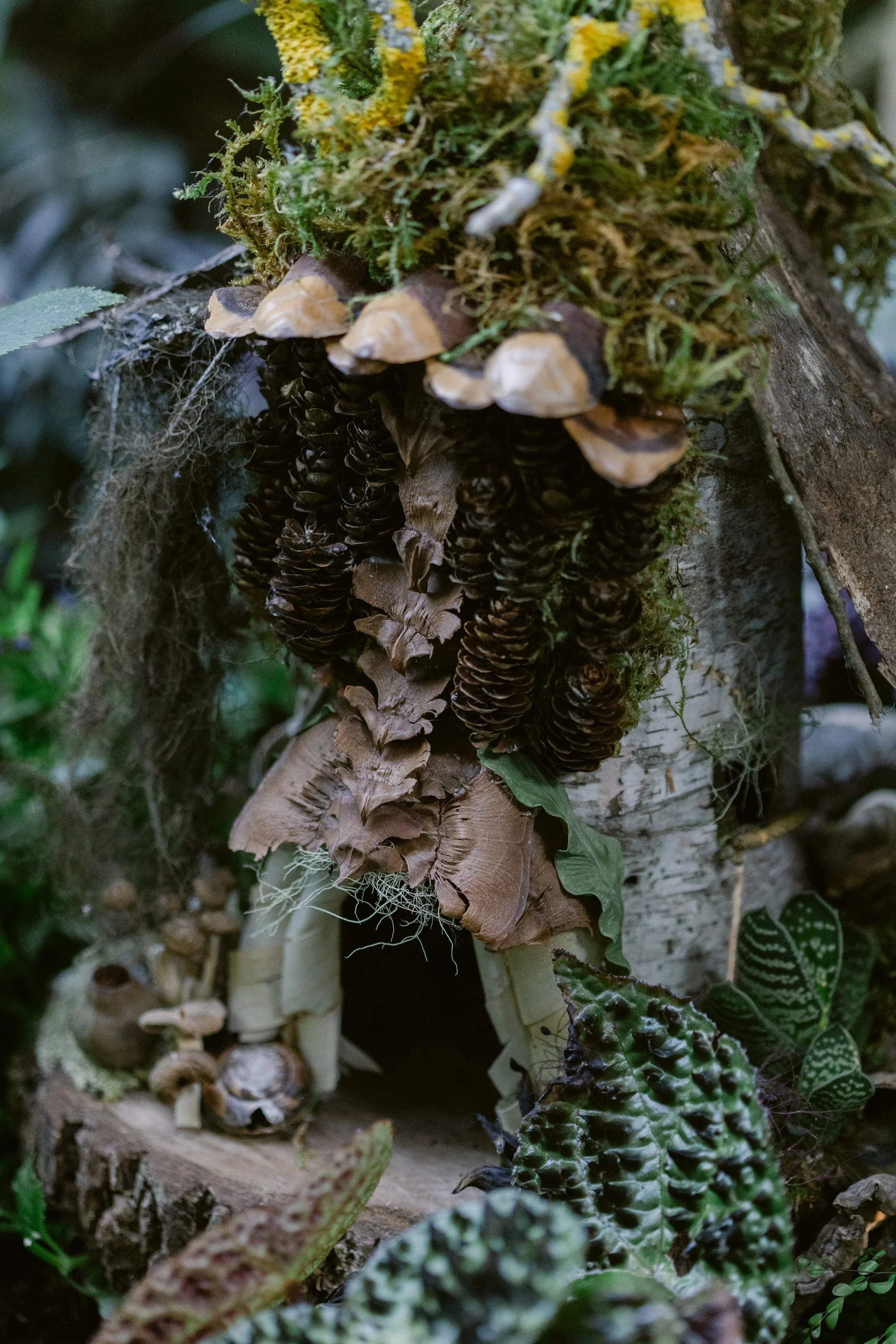 Francoise Weeks botanical design woodland design 158