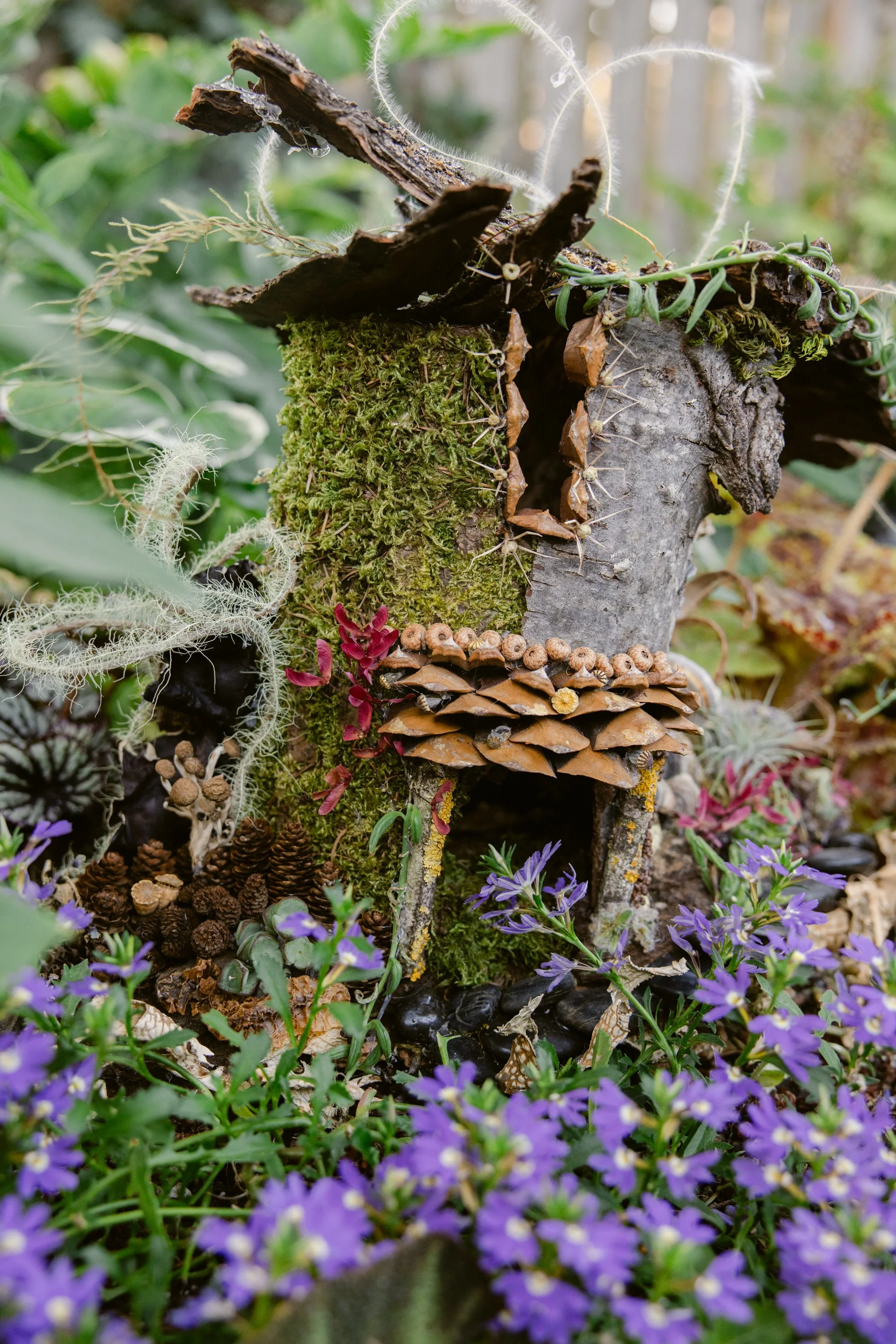 Francoise Weeks botanical design woodland design 156