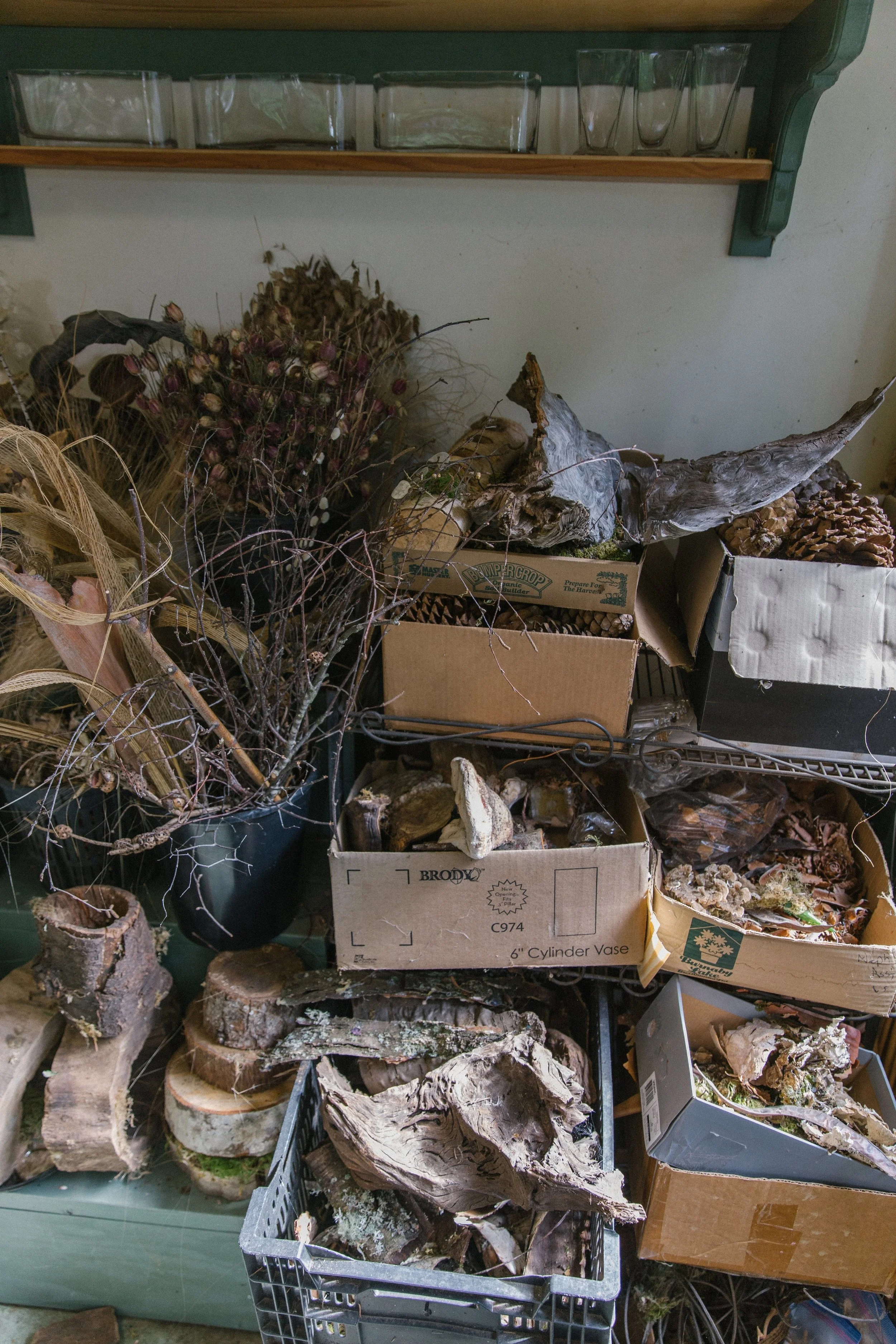 A collection of dried plants, twigs, and bark in various boxes and containers on a shelving unit.