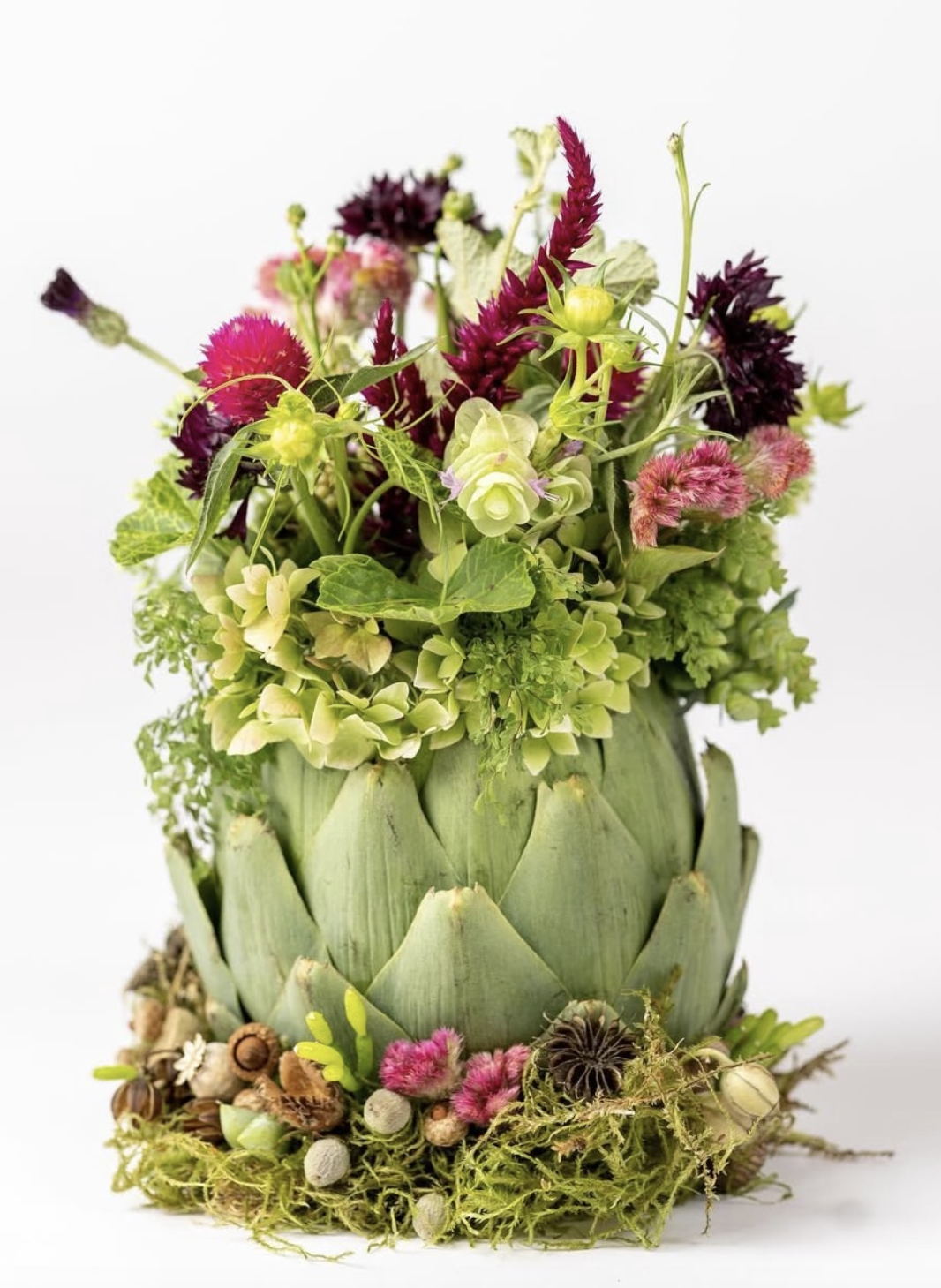 artichoke botanical design