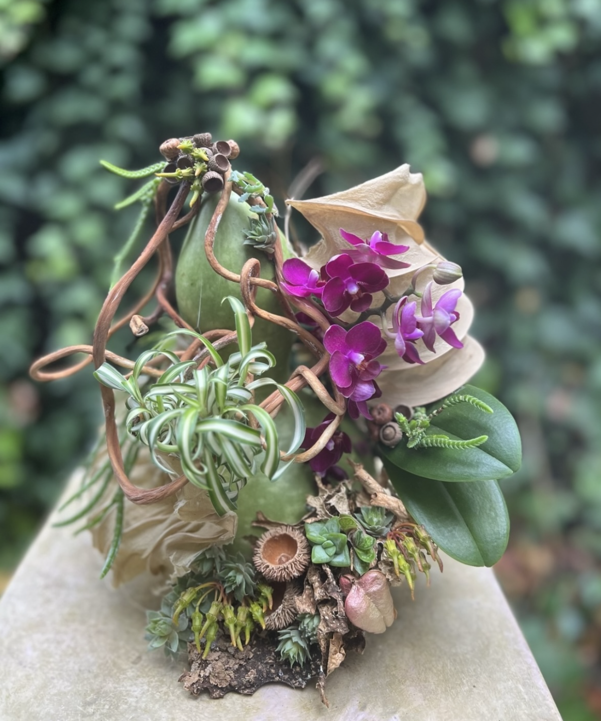 gourd botanical design