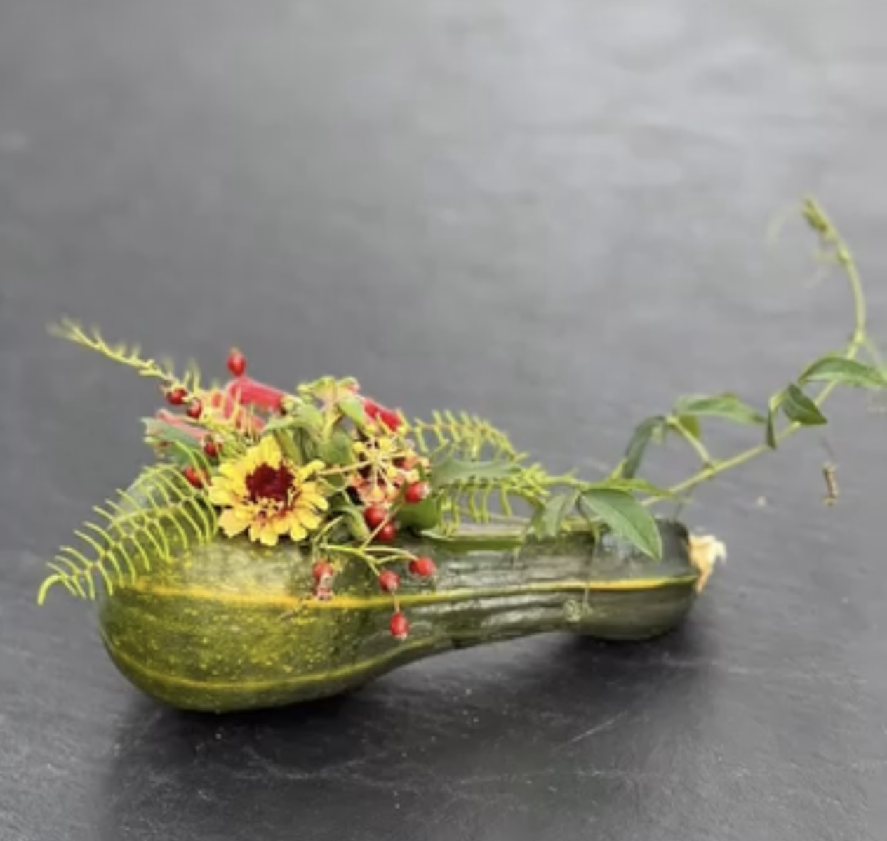 summer squash botanical design