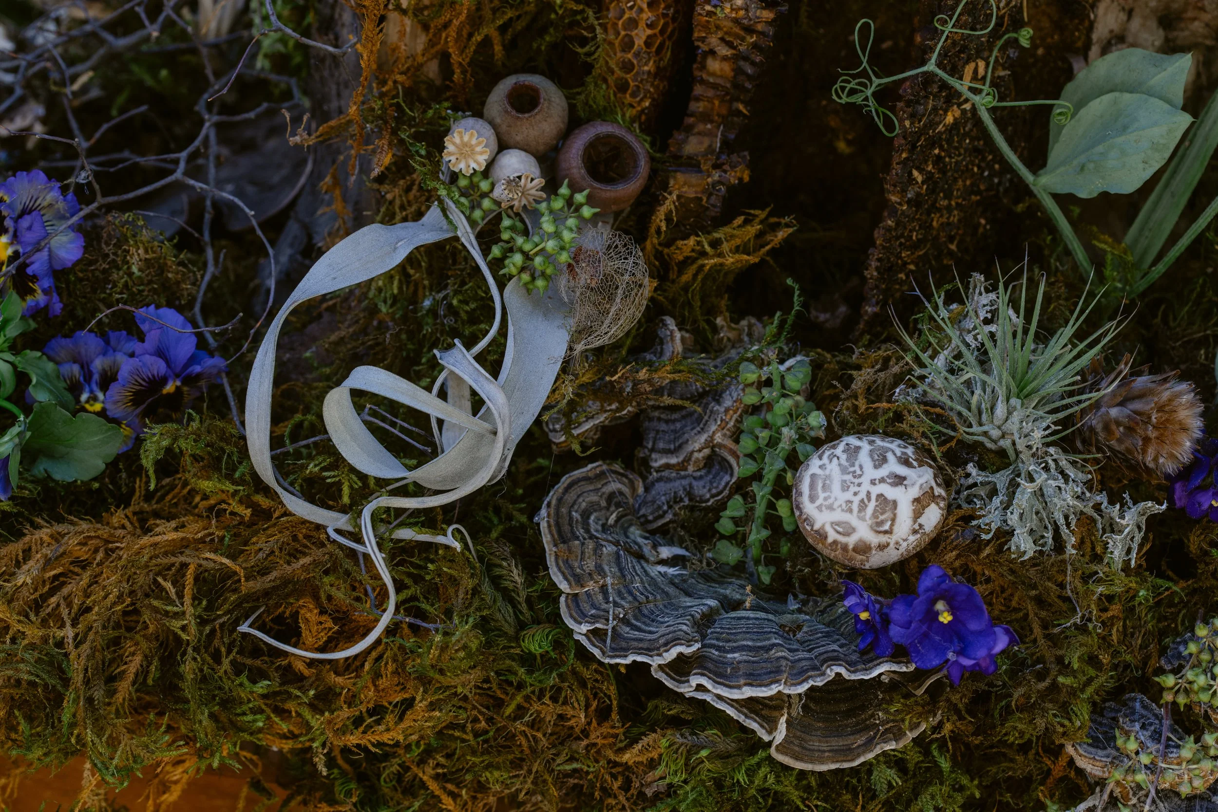 Francoise Weeks botanical design woodland design 16