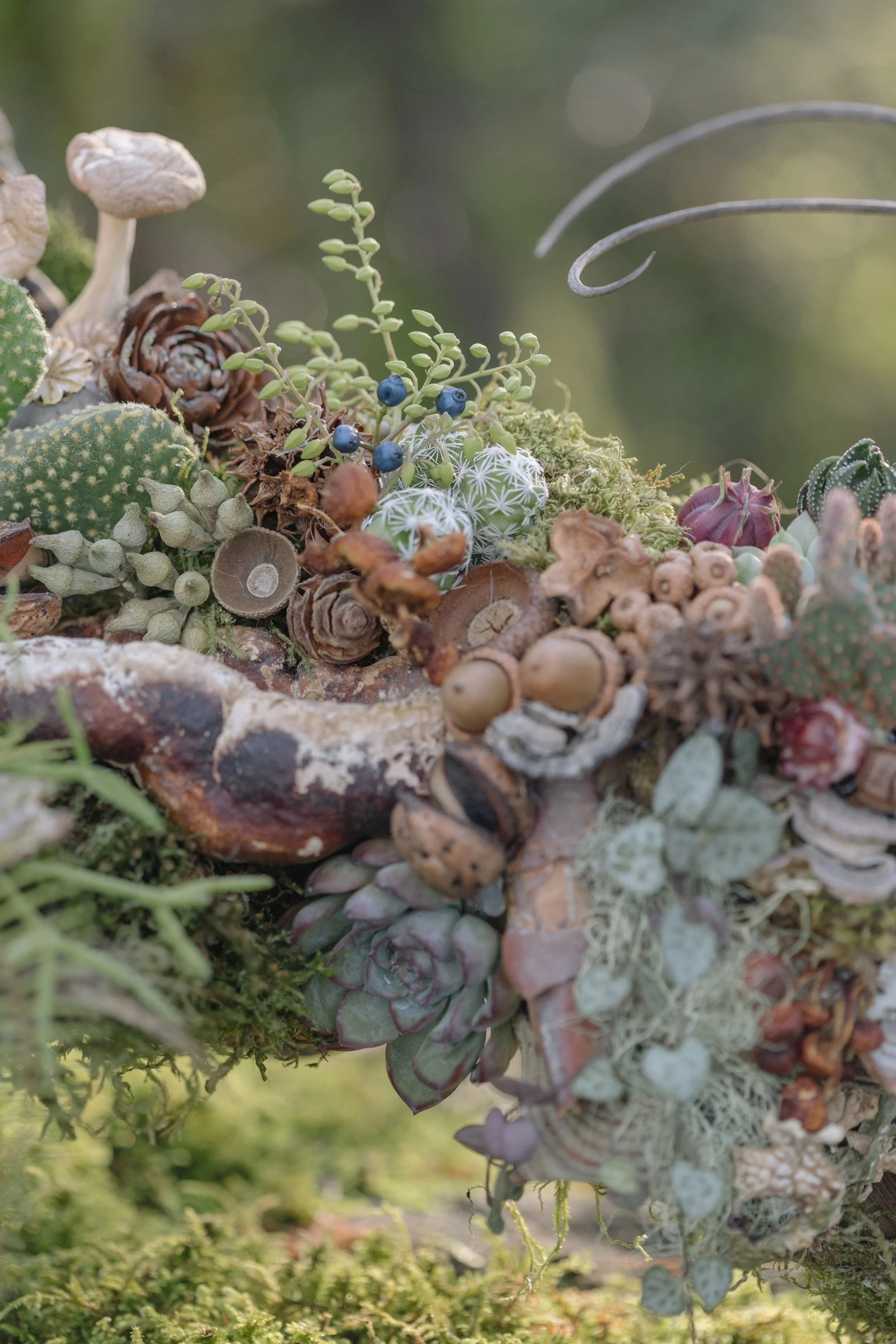 Francoise Weeks botanical design woodland design 15