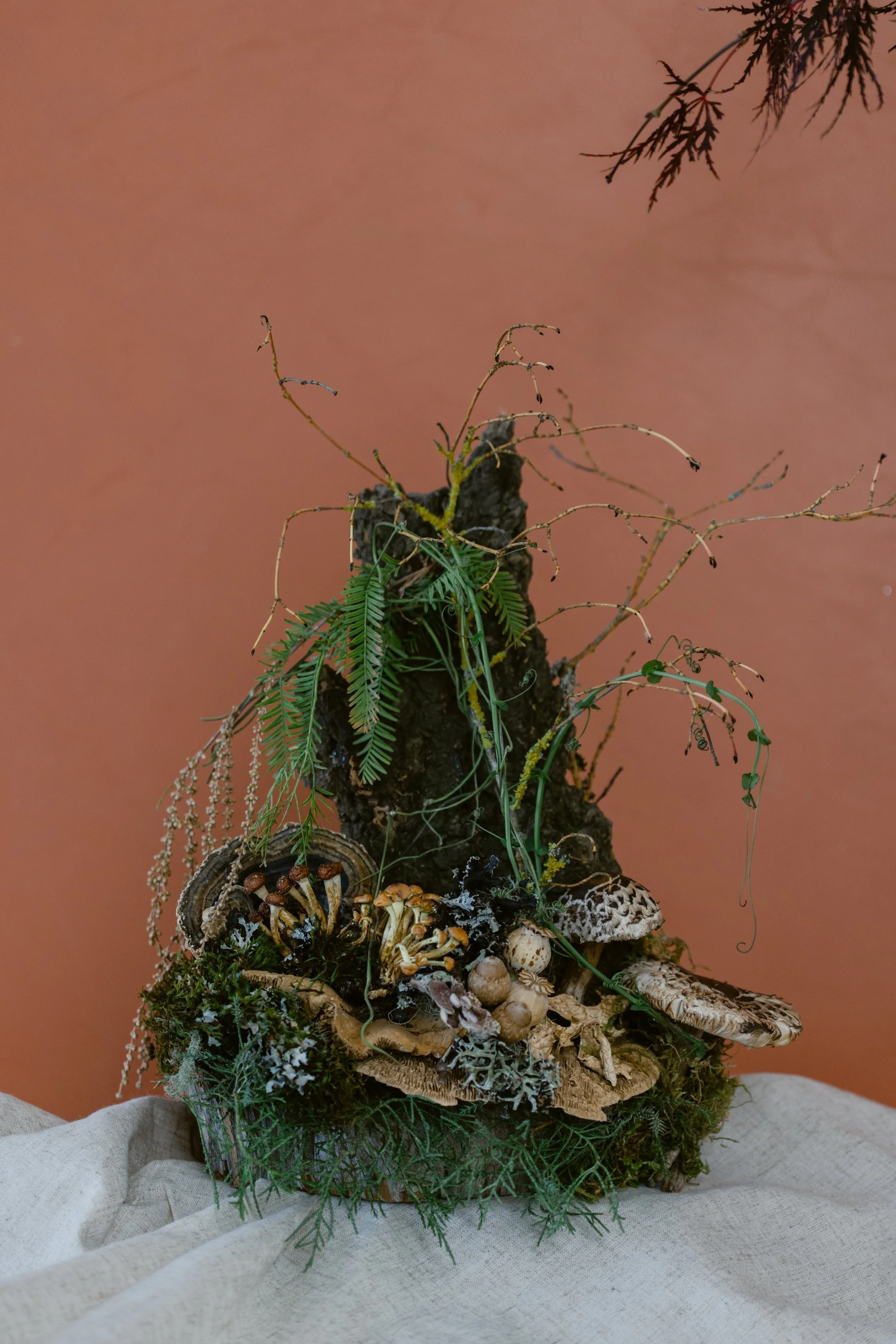 botanical centerpiece Françoise Weeks
