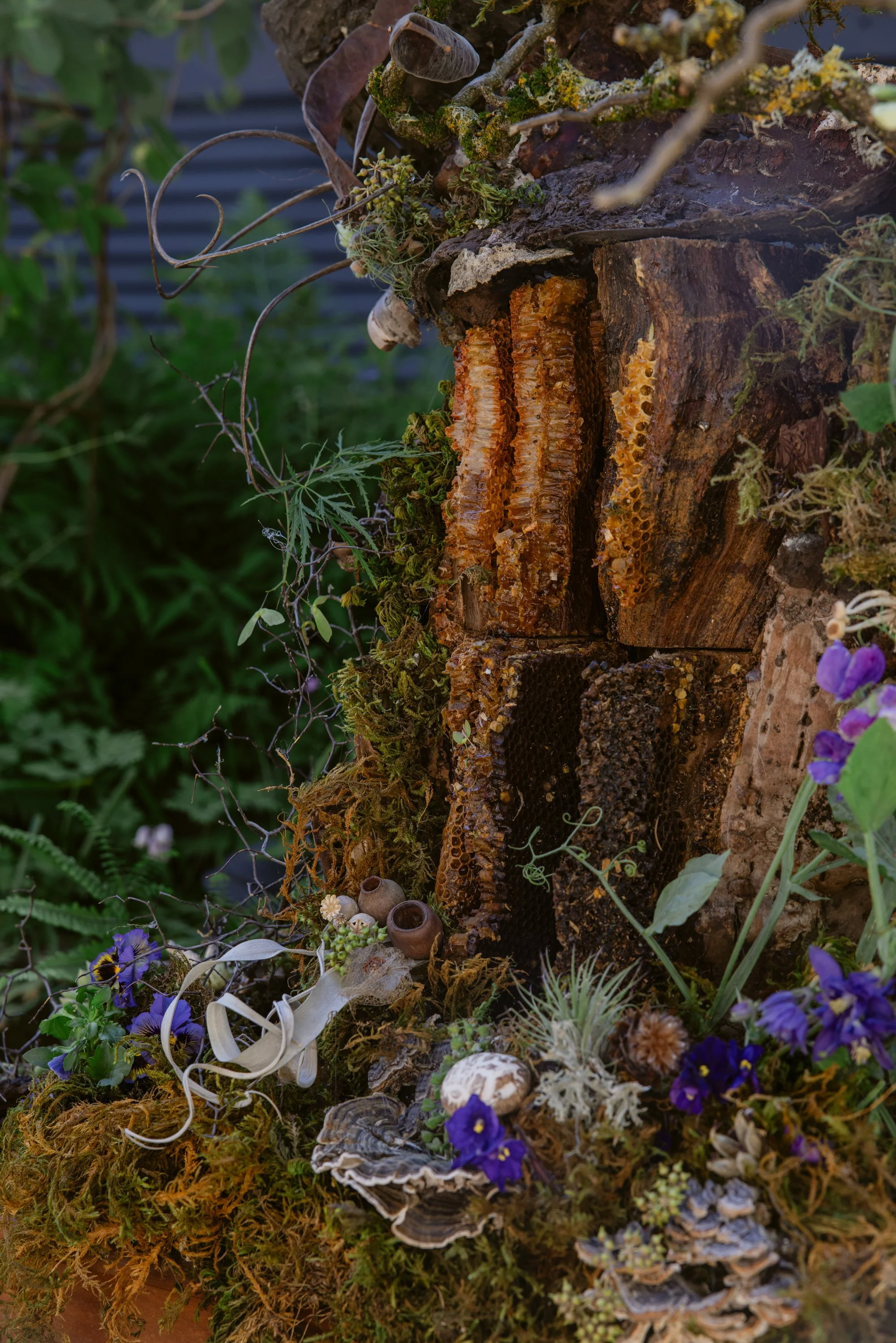 Francoise Weeks botanical design woodland design 161