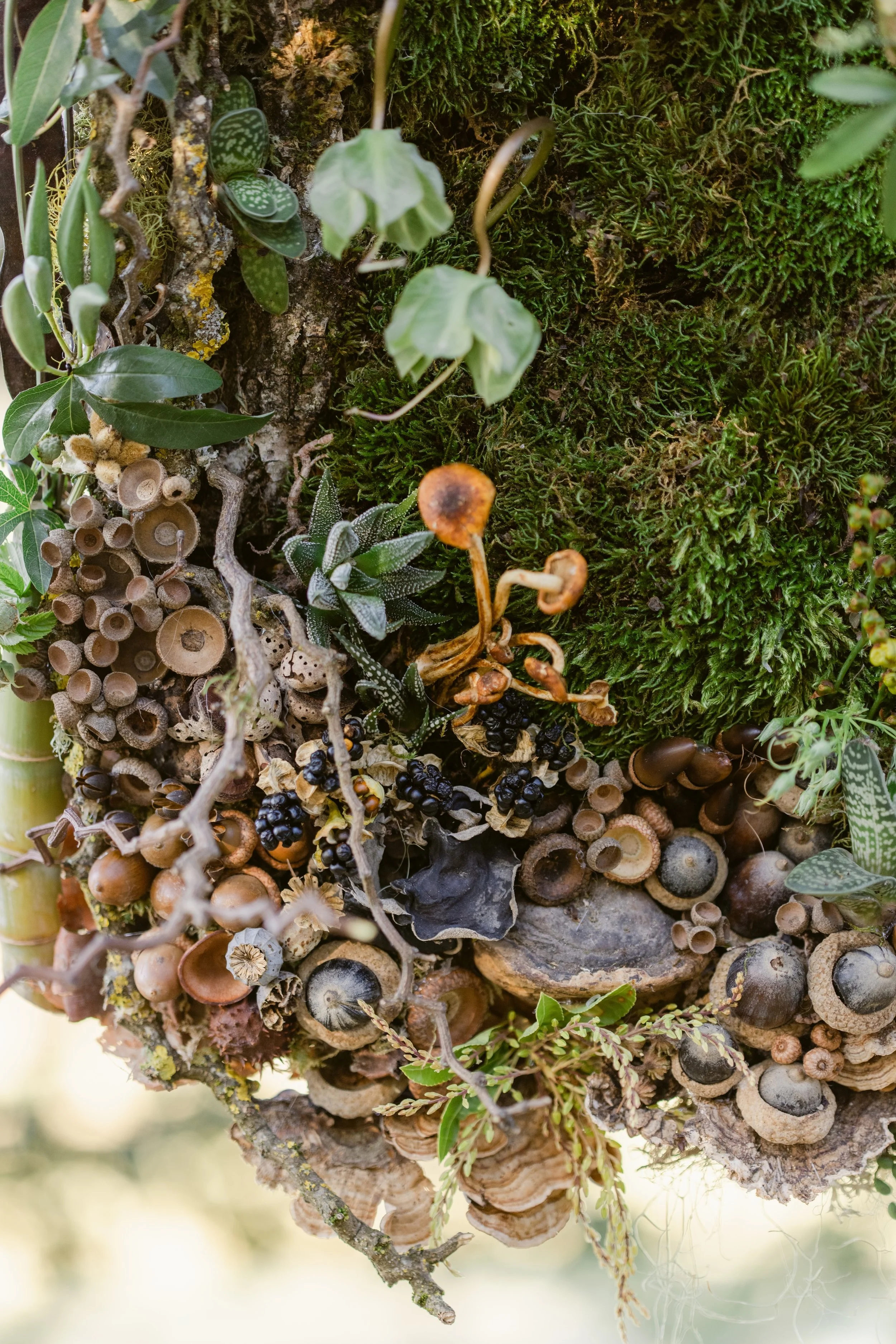 Francoise Weeks botanical design woodland design 133