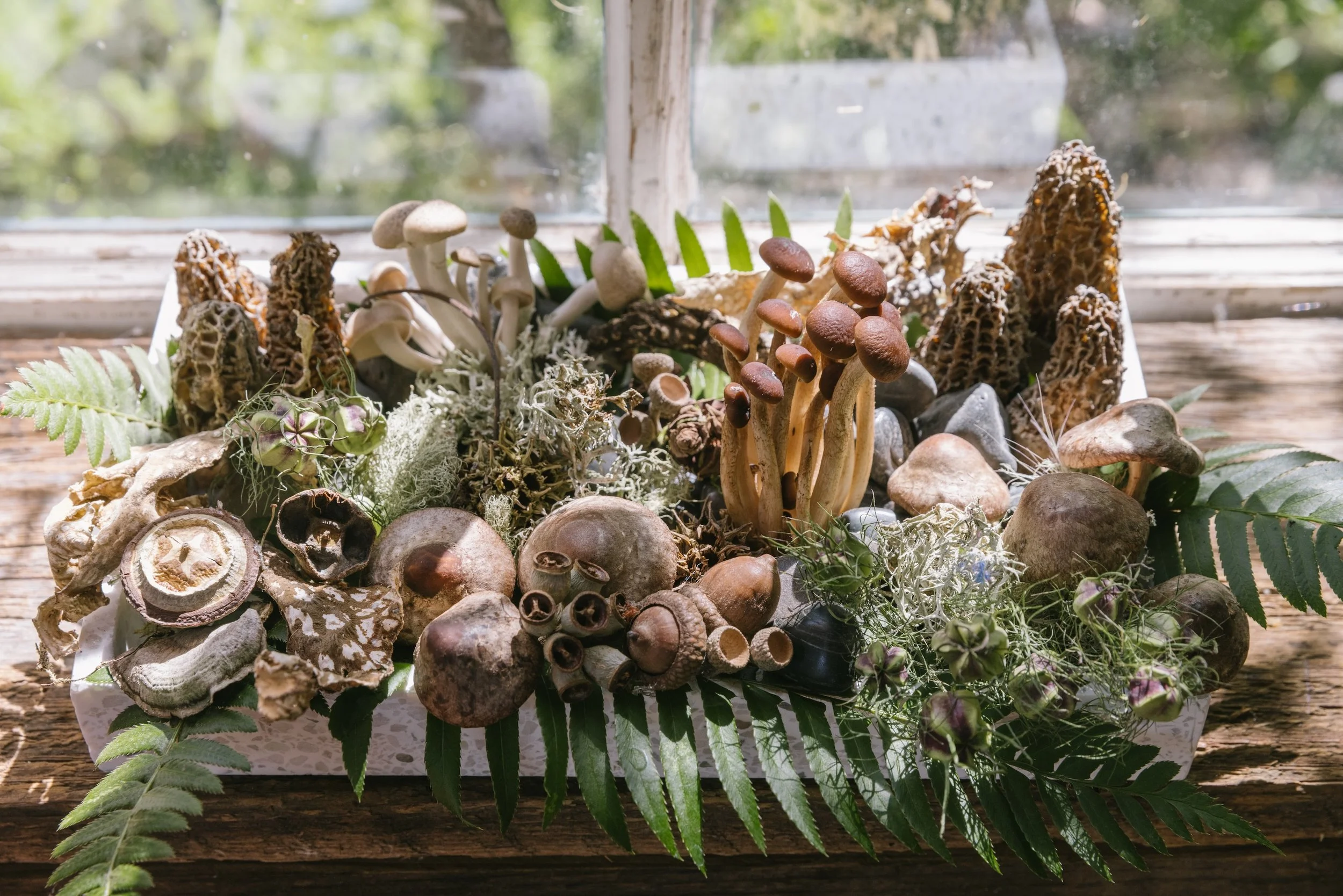 Francoise Weeks botanical design woodland design 145