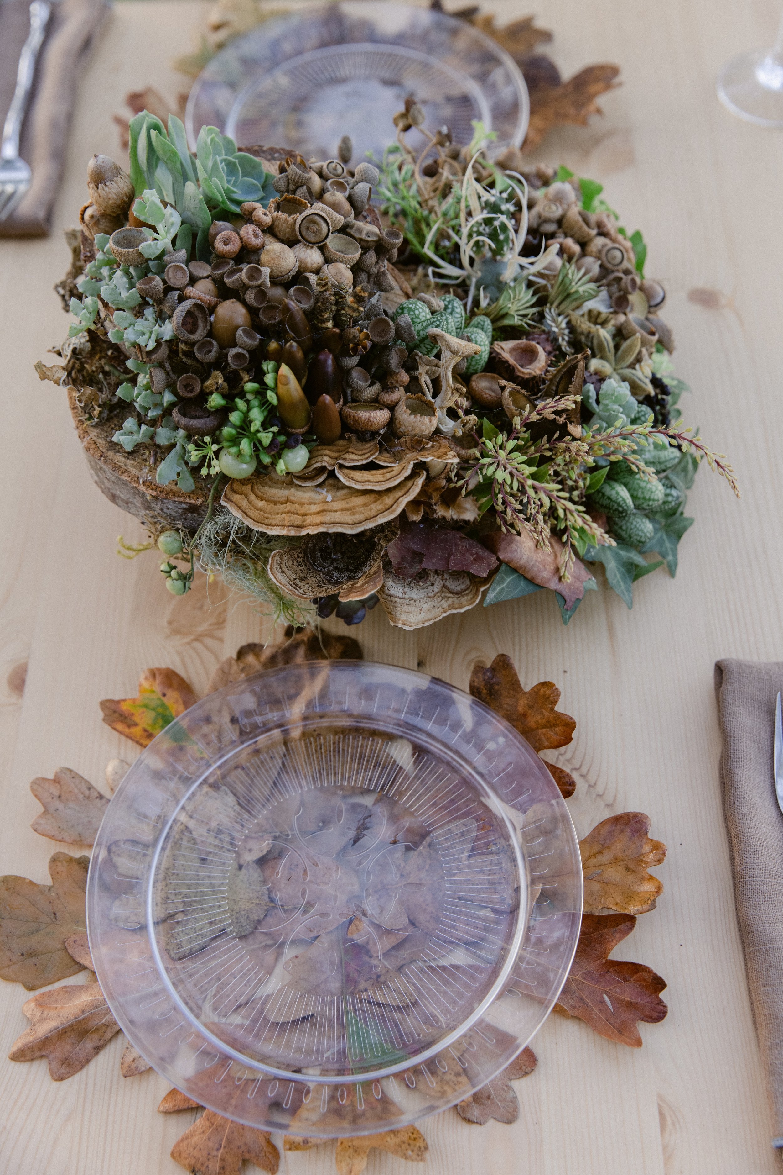 Francoise Weeks botanical design woodland design 14