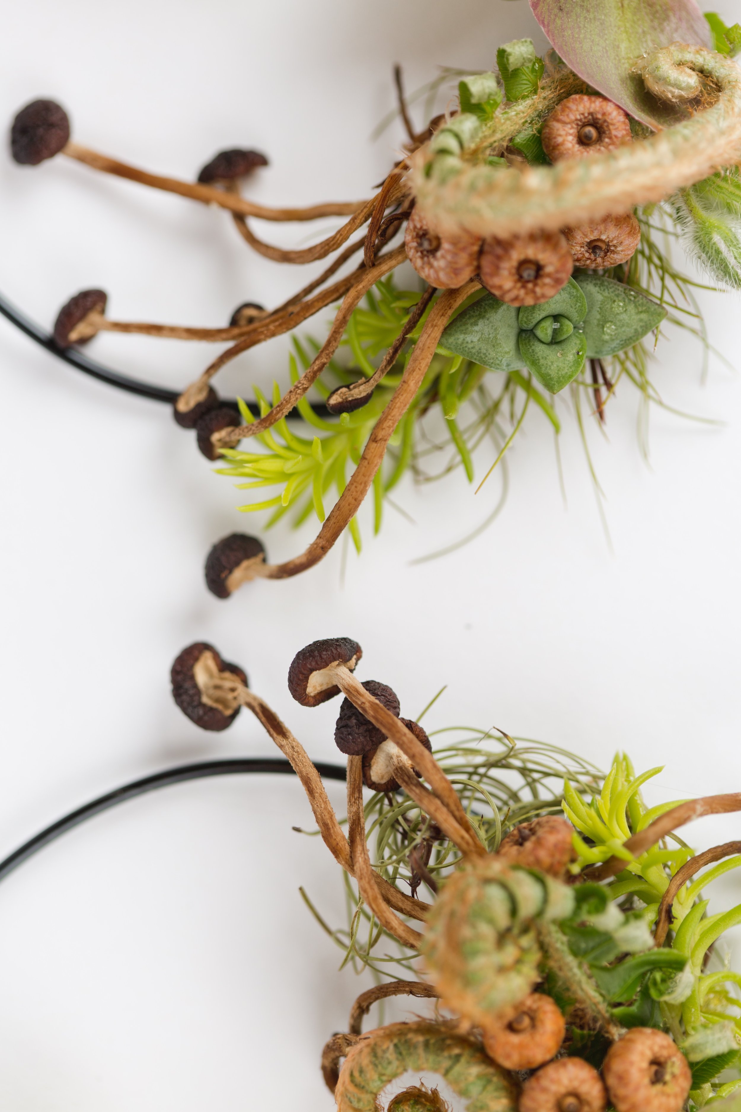 Francoise Weeks botanical fashion couture floral jewelry floral fashion 108