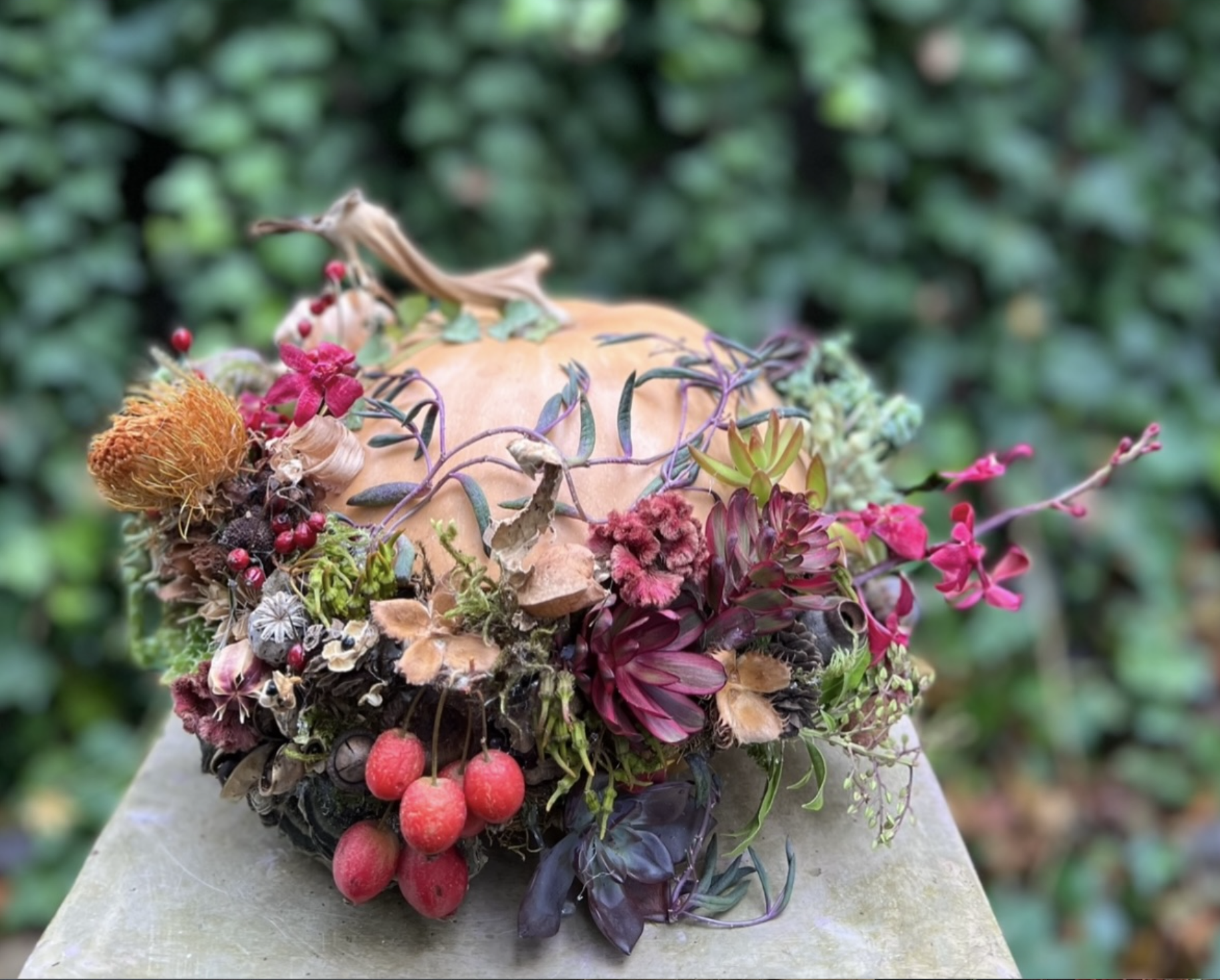 pumpkin botanical design