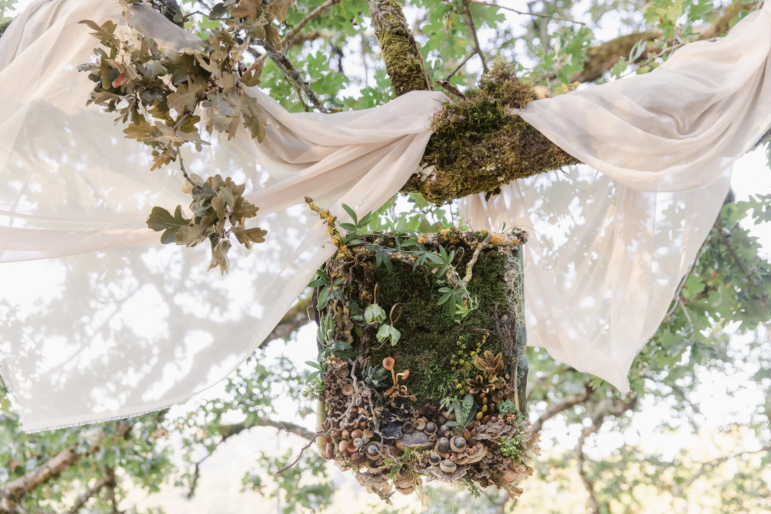 Francoise Weeks botanical design woodland design 129