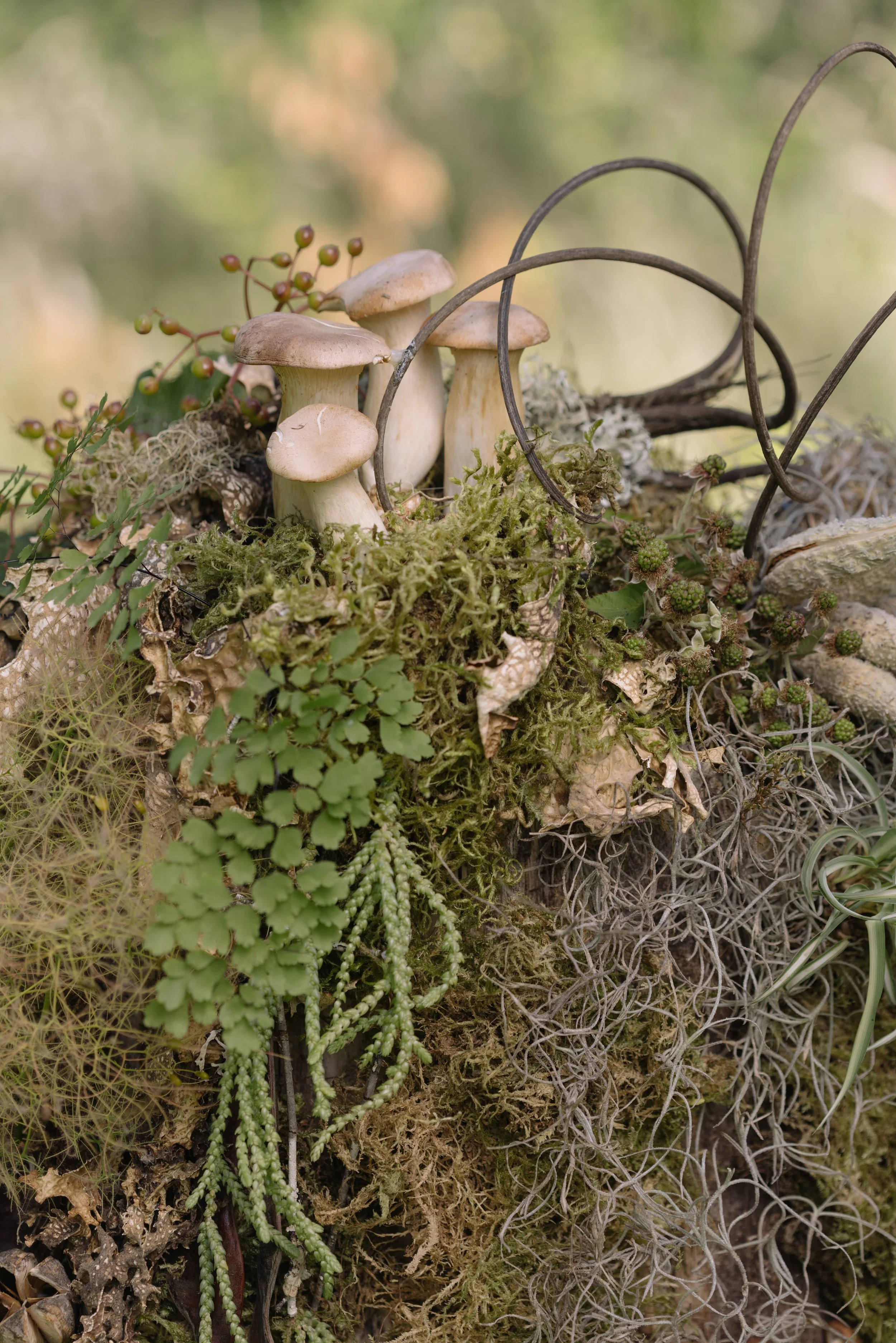 Francoise Weeks botanical design woodland design 124