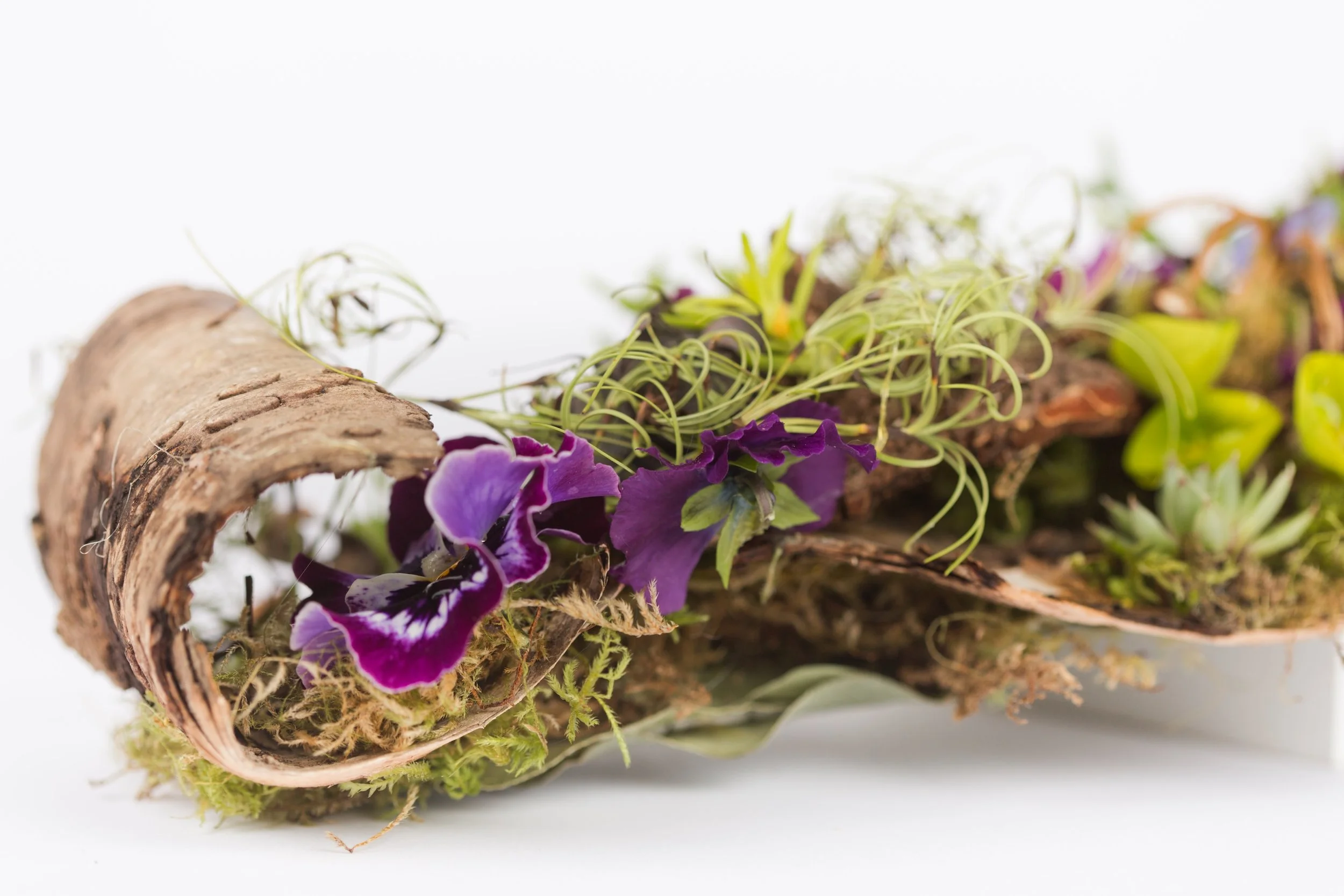 Francoise Weeks botanical fashion couture floral jewelry floral fashion 105