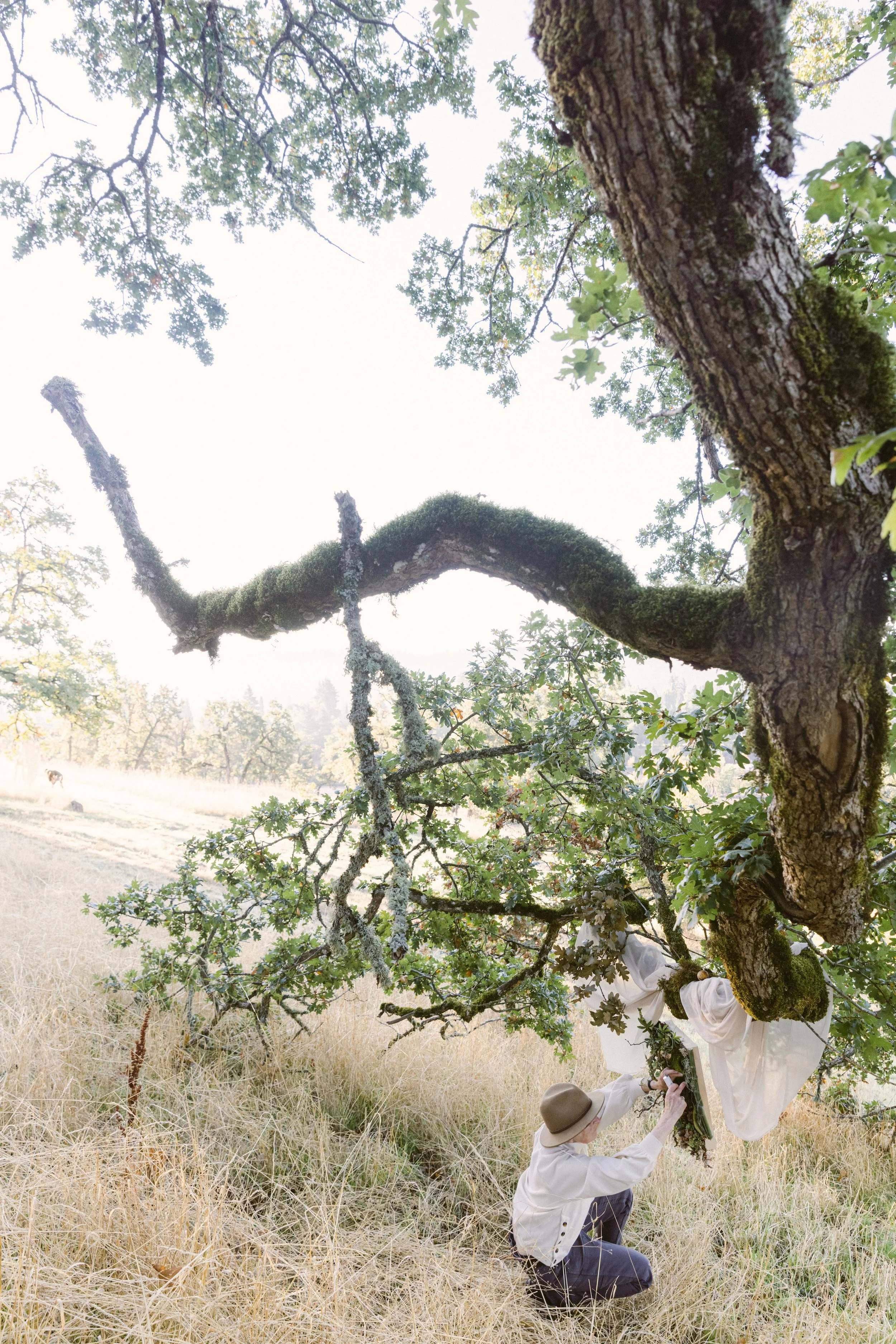 Francoise Weeks botanical design woodland design 131