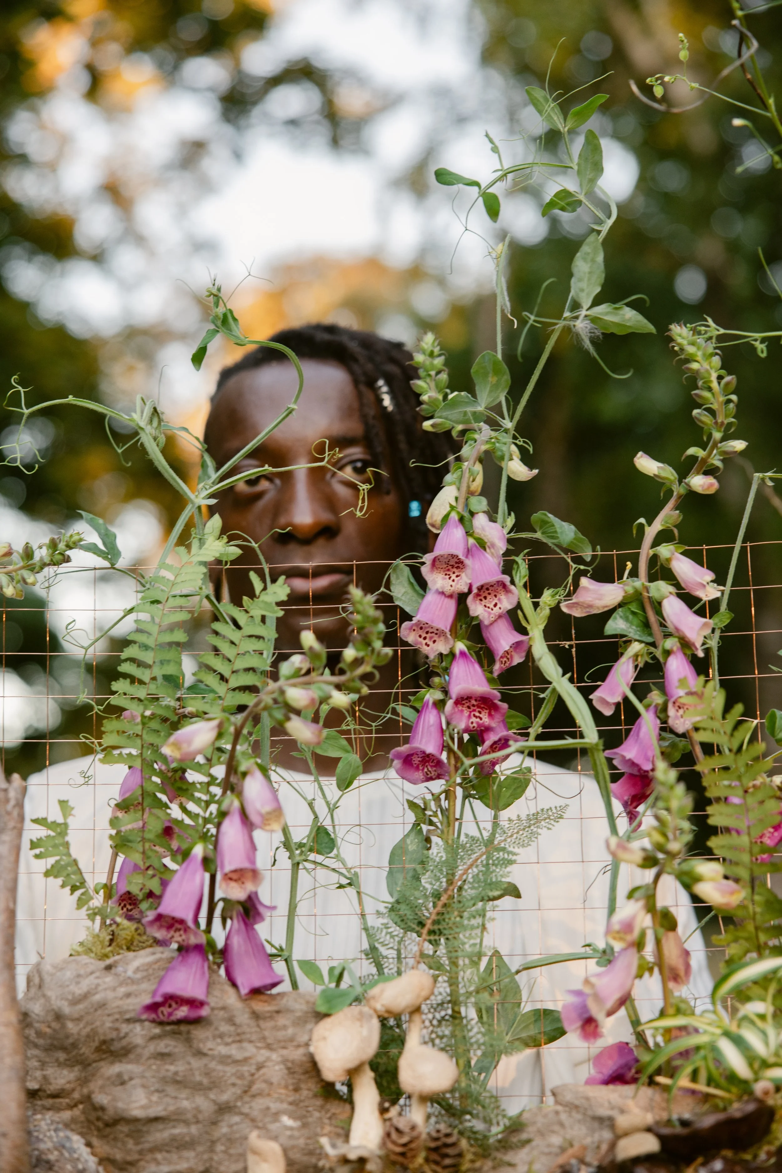 Francoise Weeks botanical design woodland design 153