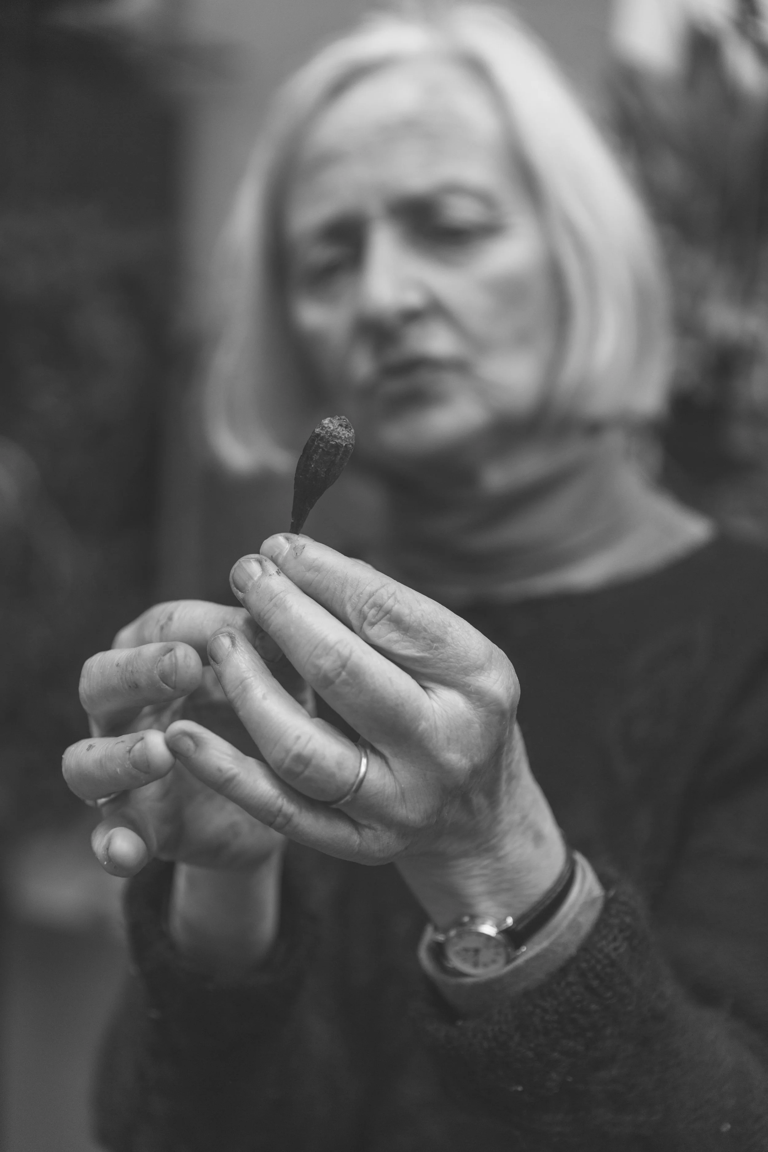 A woman holding rose hip in her hand, with a blurred face in the background.